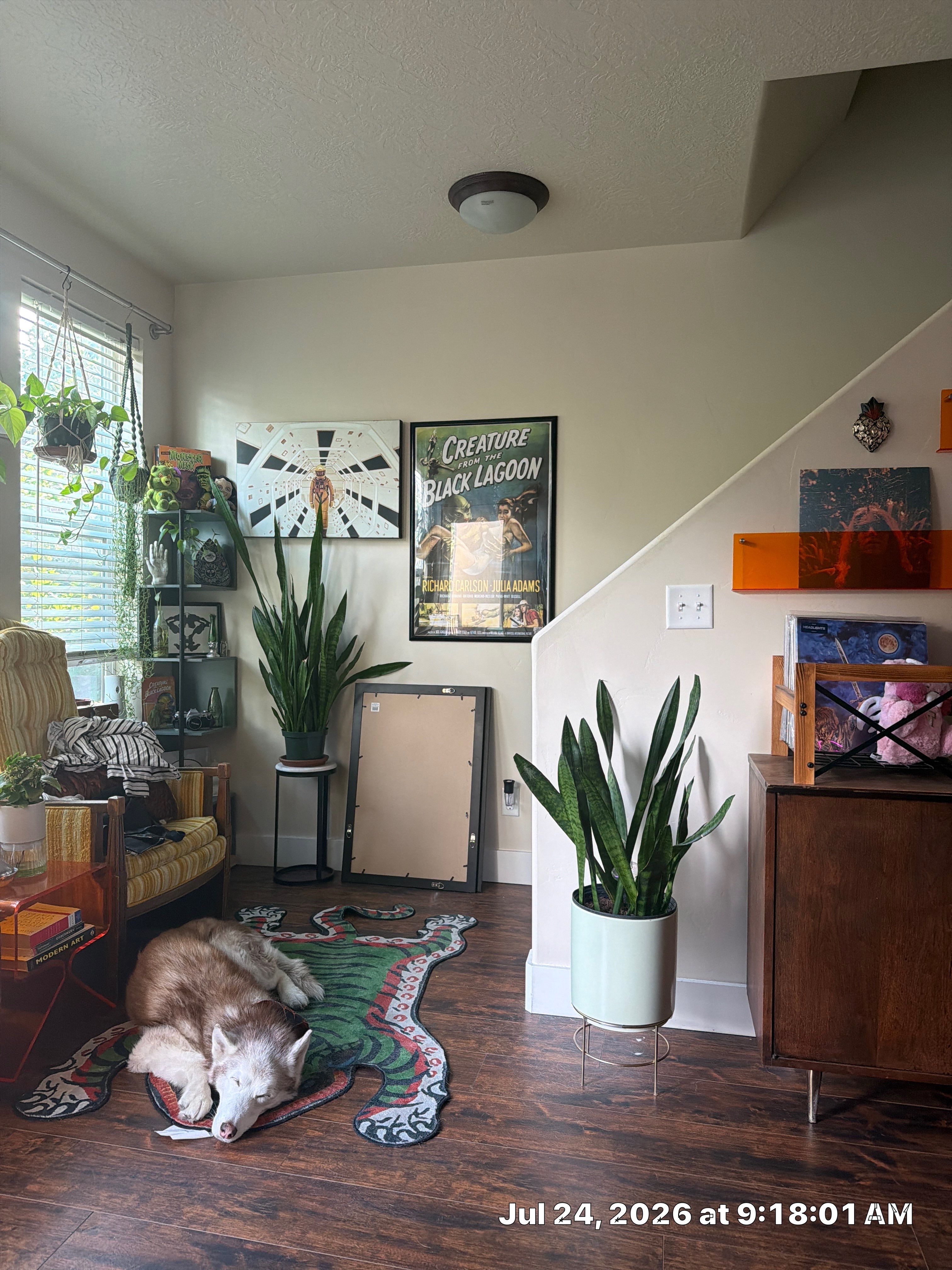 Living Room Media Center and Shelving Installation in South Salt Lake by CompanyCam Sales Demo