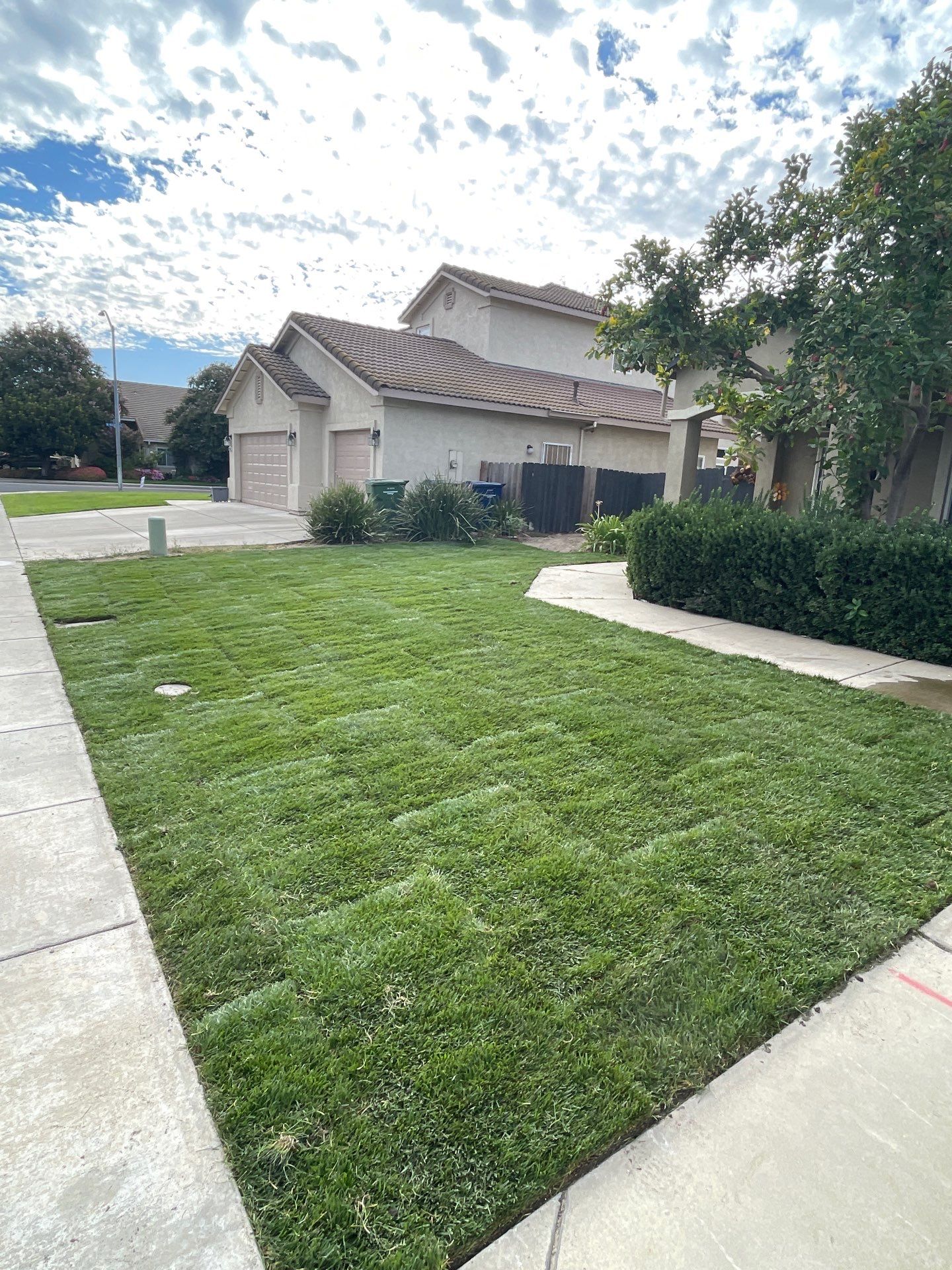 Project in Turlock by A - G Sod Farms