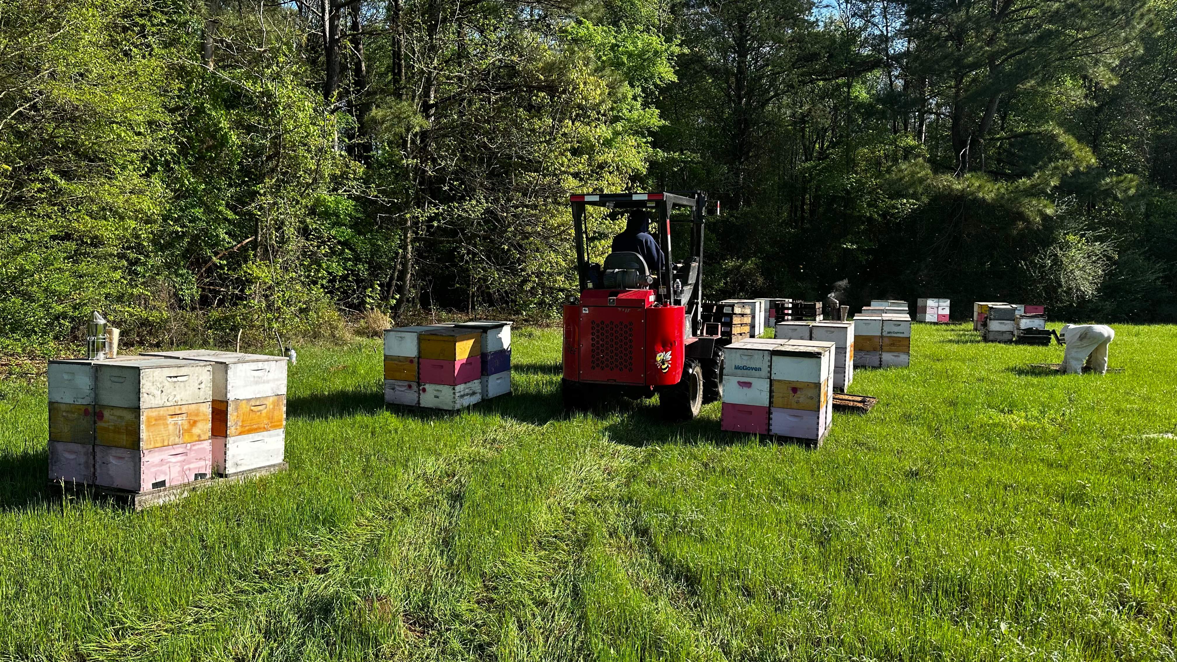 Traylor's Hay Meadow Apiary by Rockwall Honey Bee Company