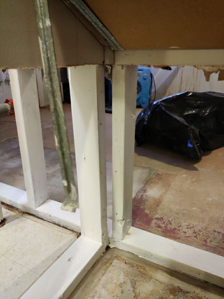 Mold Remediation in Basement by Accountable Home Services