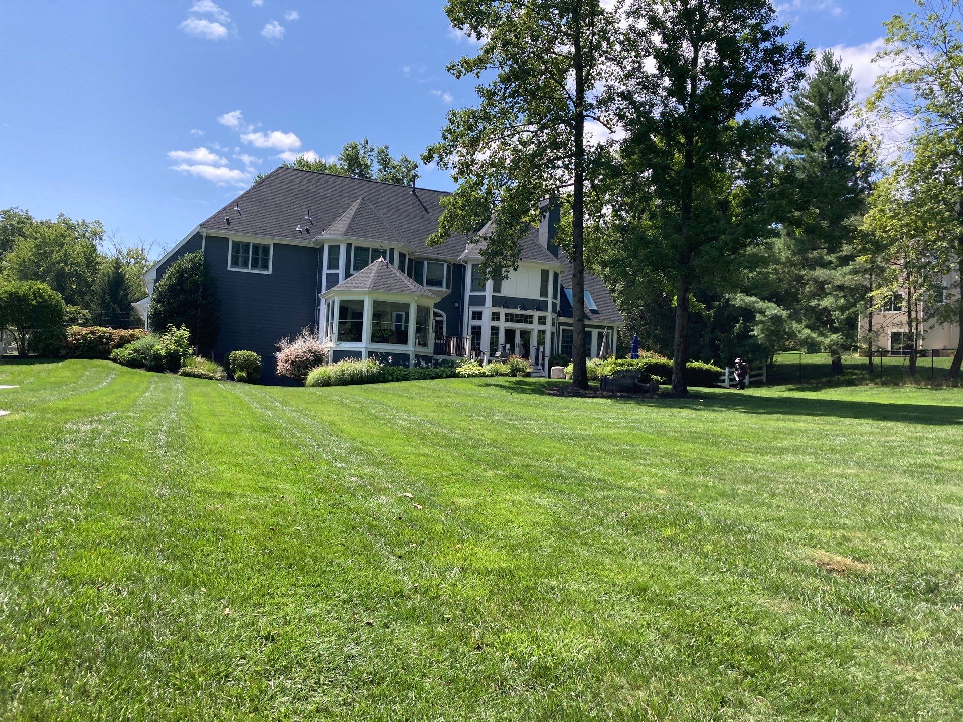 Comprehensive Lawn Care in Warren by Ants Plants