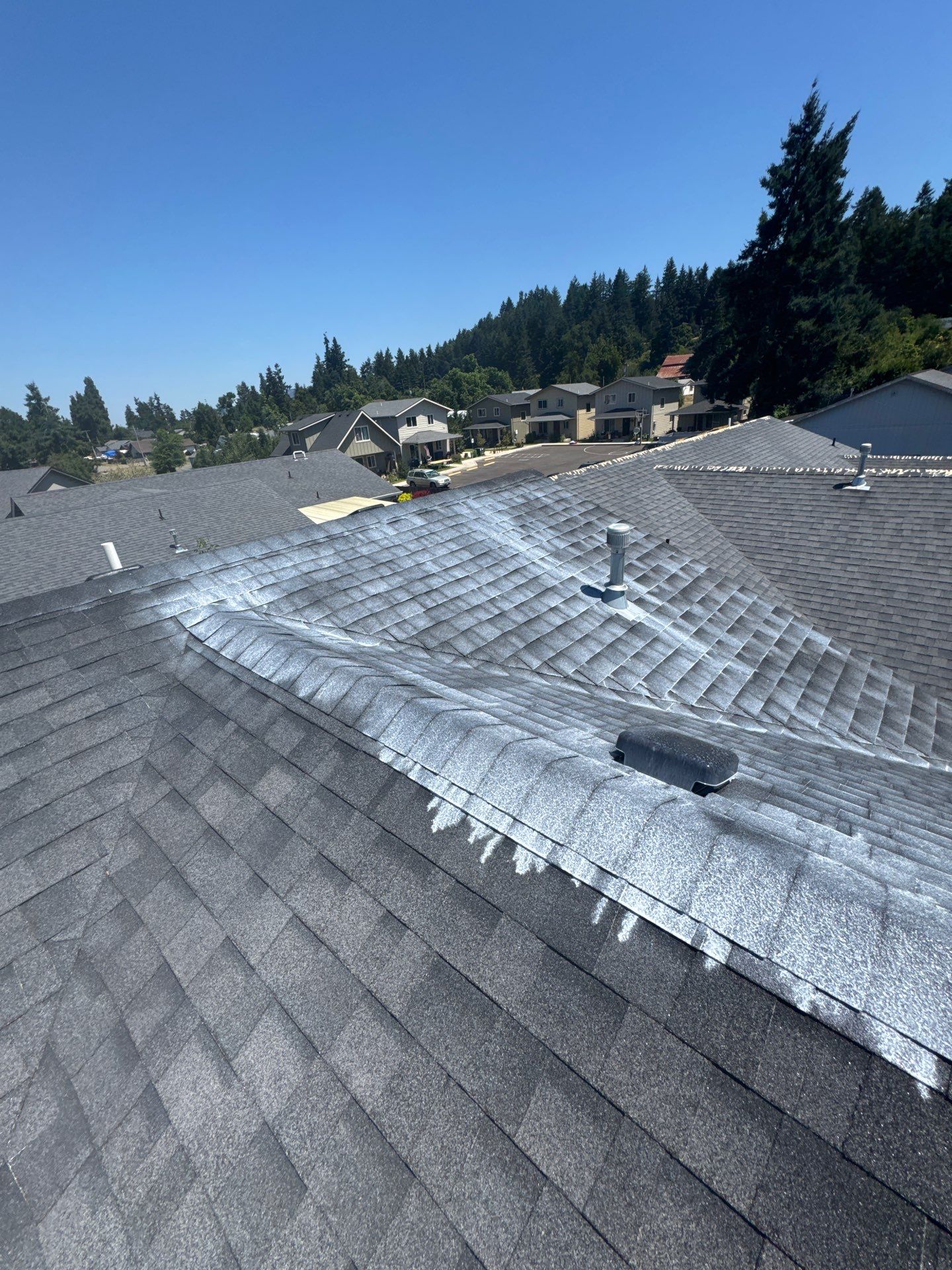 Project in Cottage Grove by Roof Maxx of Grants Pass