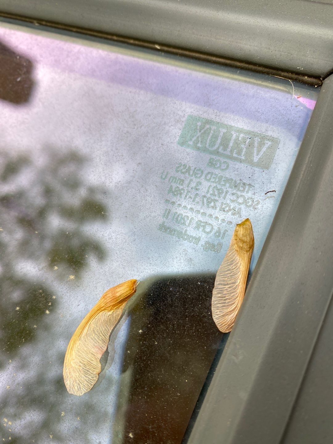 Alexandria: CertainTeed Landmark Pro Designer Shingles in Max Def Colonial Slate by RM Banning, Inc.