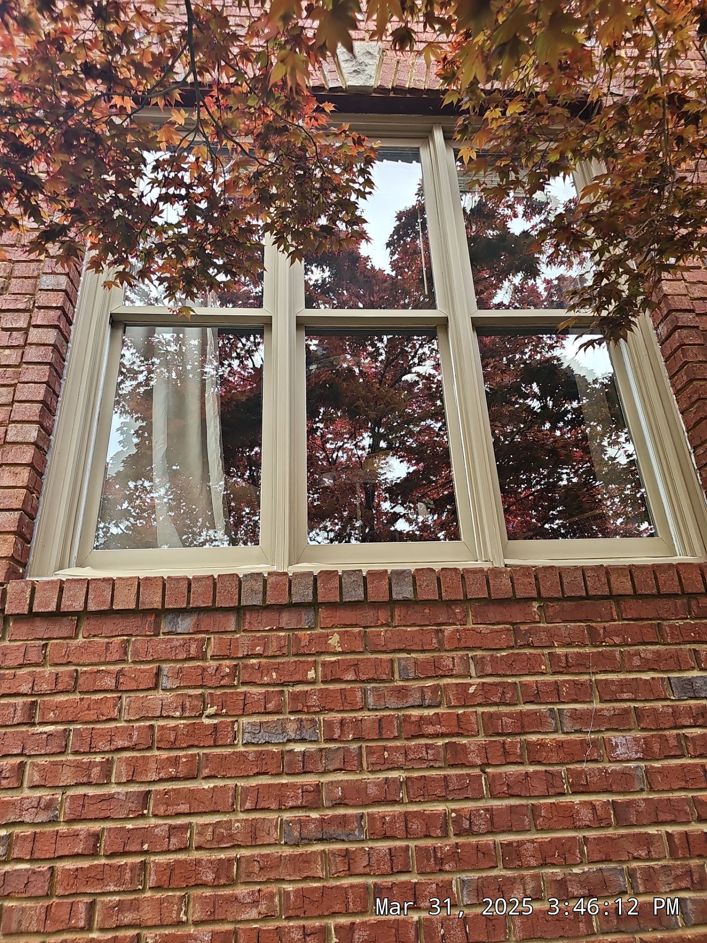 Hoyt Project in Birmingham by The Window Source