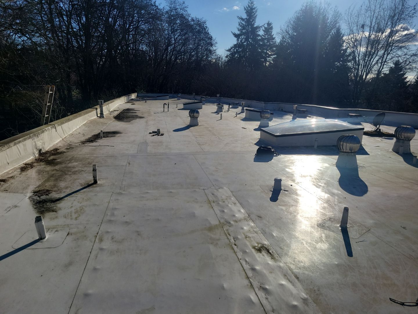 2024 Kirkland Multi-Family Overlay by Alternative Roofing Systems Inc. 
