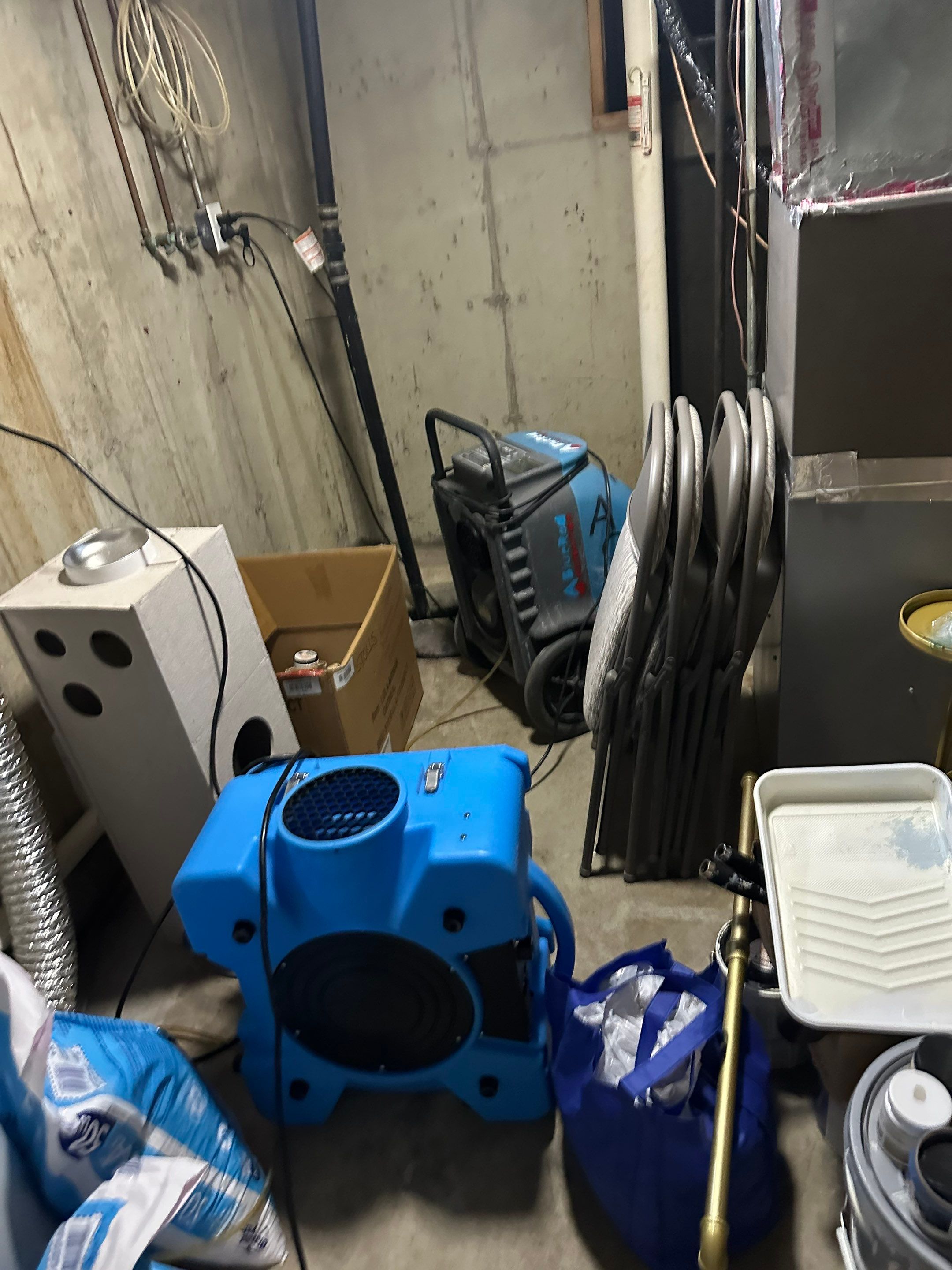 Basemen Oder removal with mold remediation and carpet pad replacement by BlueRed Restoration