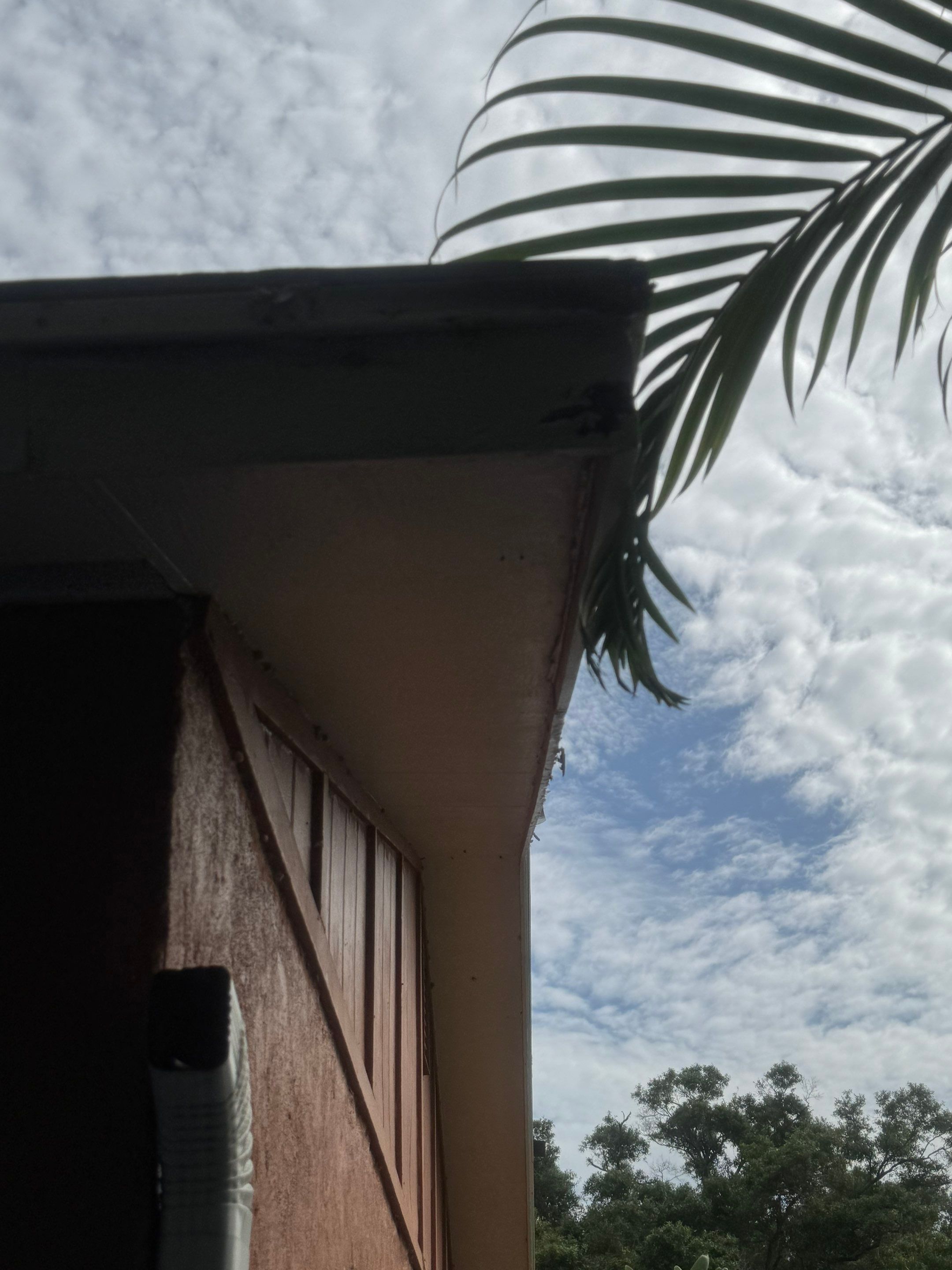 Project in Pinellas Park 33781 by Mitchell Roofing Company LLC 