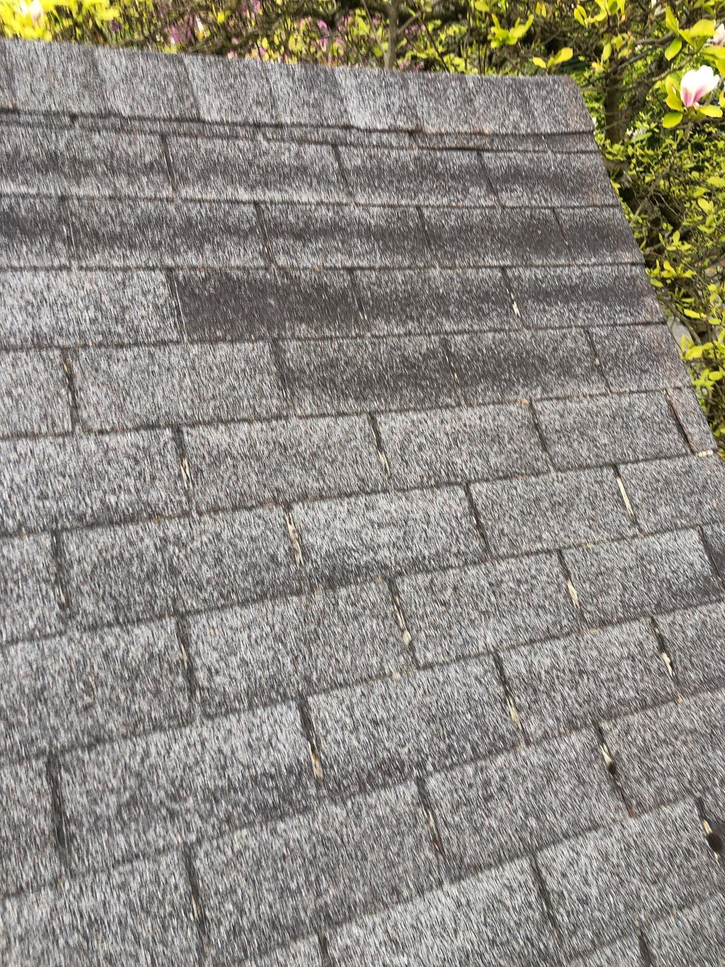 Project in Seattle by Connolly Construction Company