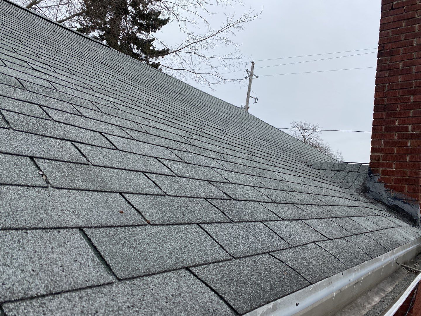 Tina Colegrove by Silver Leaf Contracting 