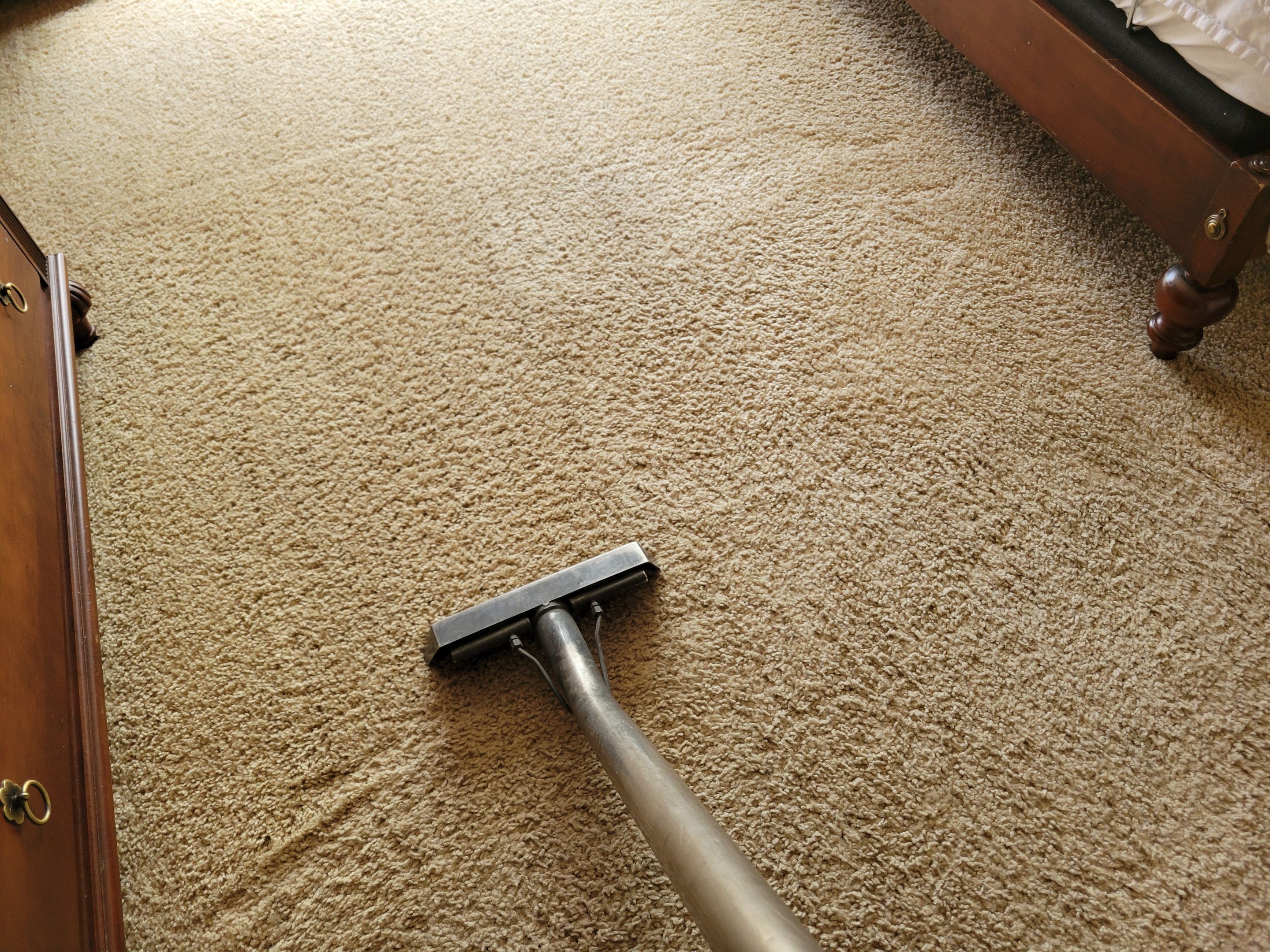 Subsurface Pet Treatment, Carpet Cleaning by Ardent Carpet Restore LLC