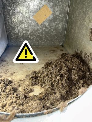 Air Ducts + Whole House Sanitizing
