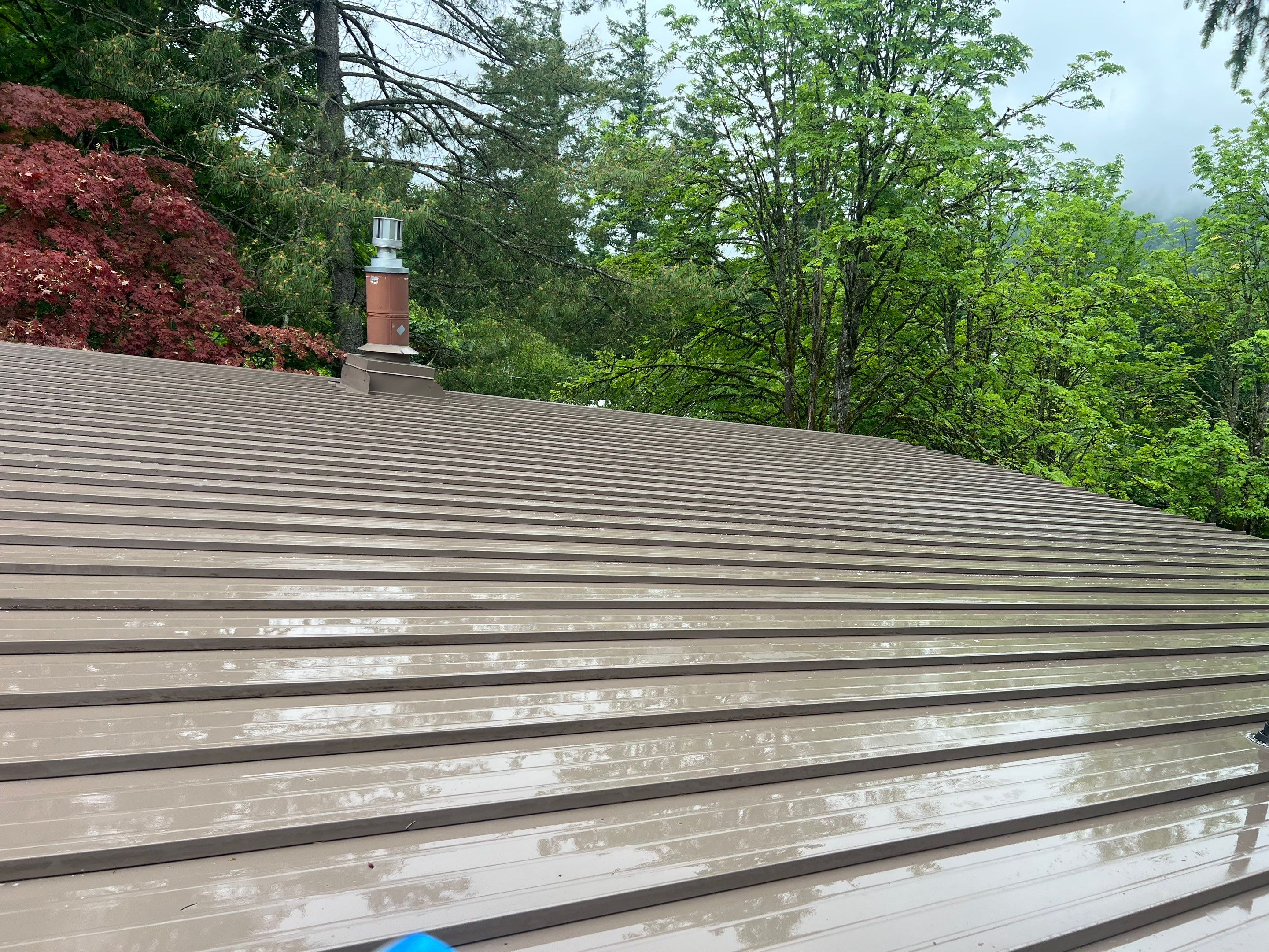Roof Cleaning in Portland by Prodigy Roof Solutions
