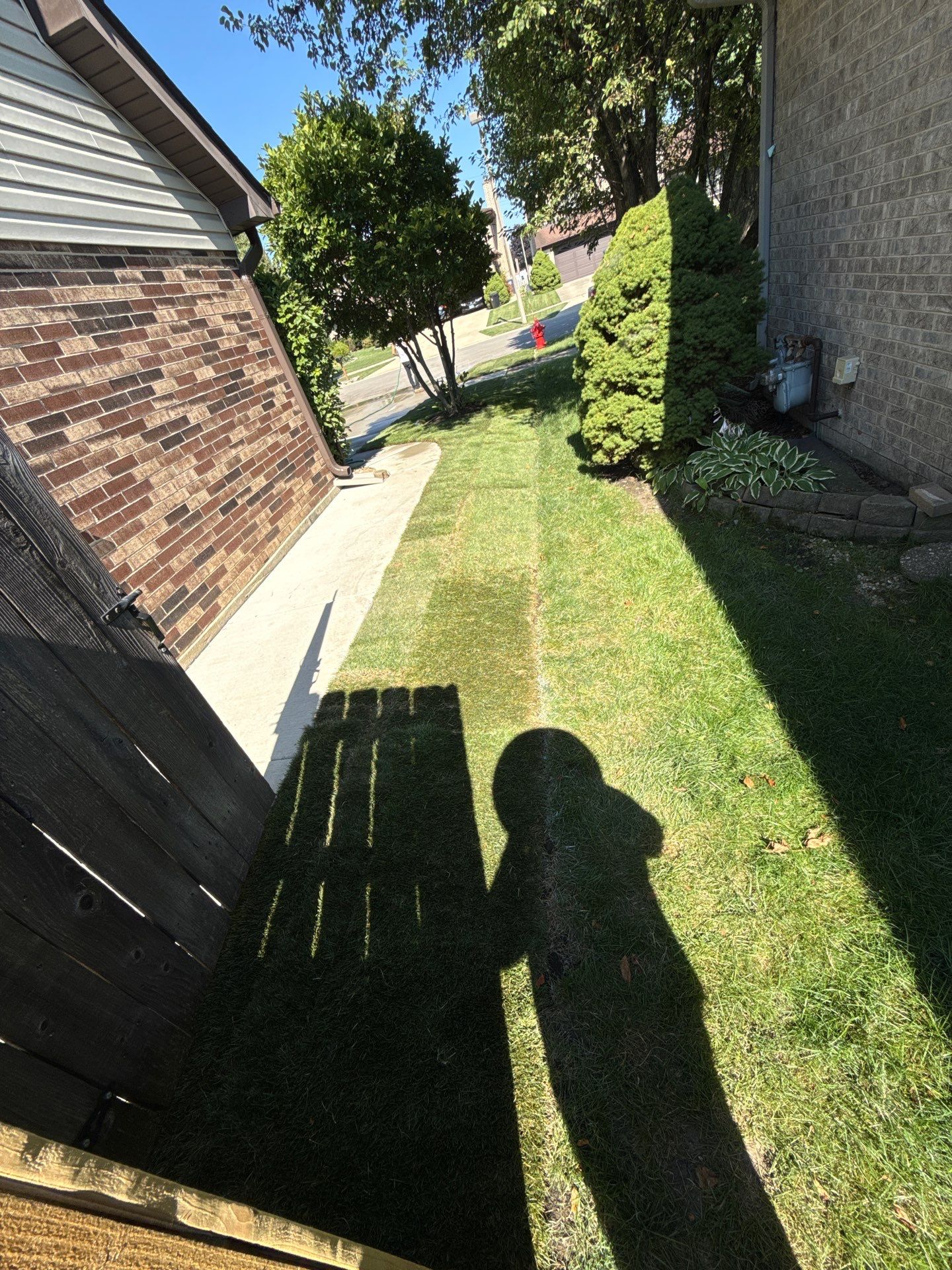 Al P. - Des Plaines, IL by A&N 
