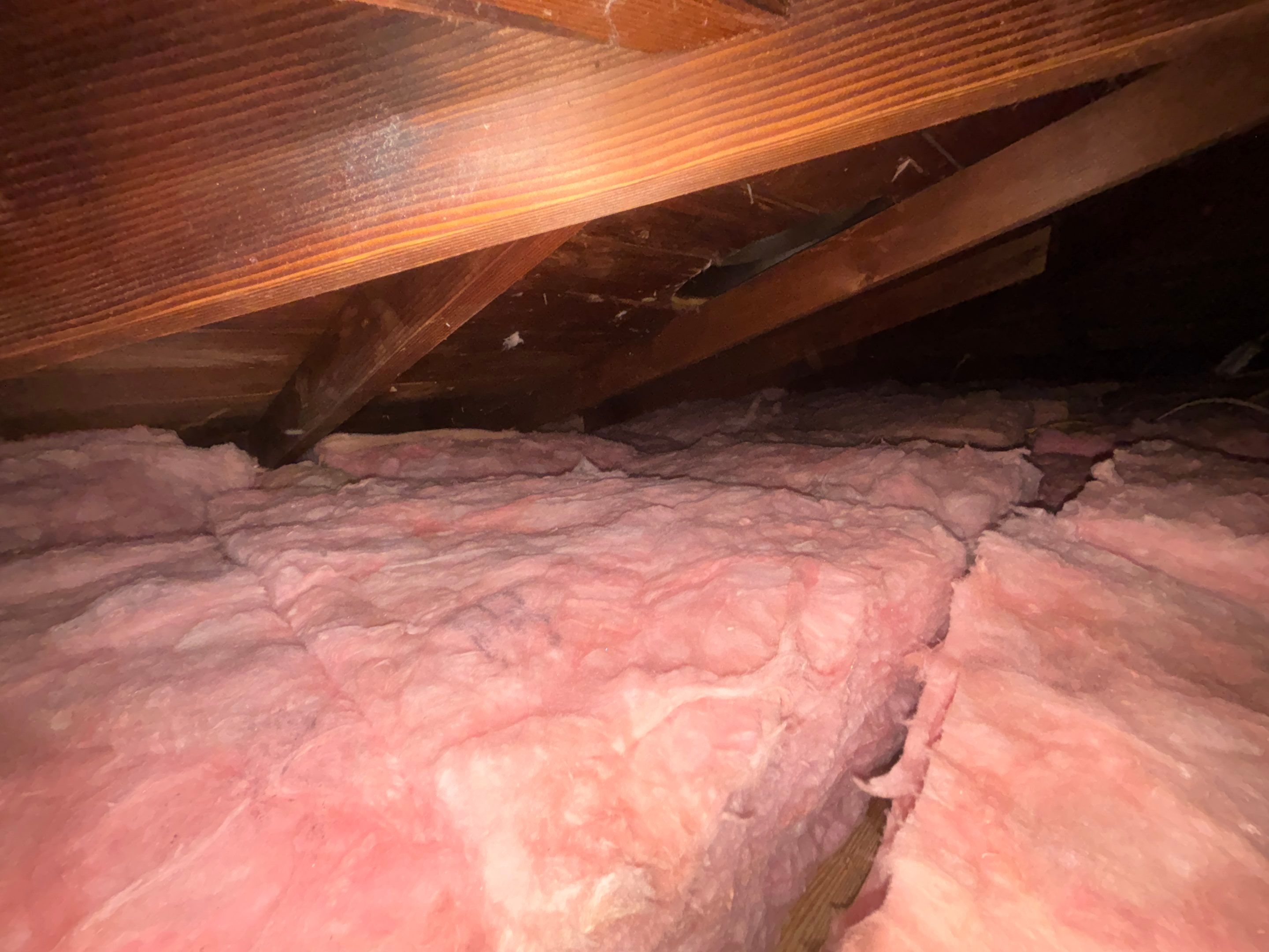 Project in Pasadena by Insulation Labs