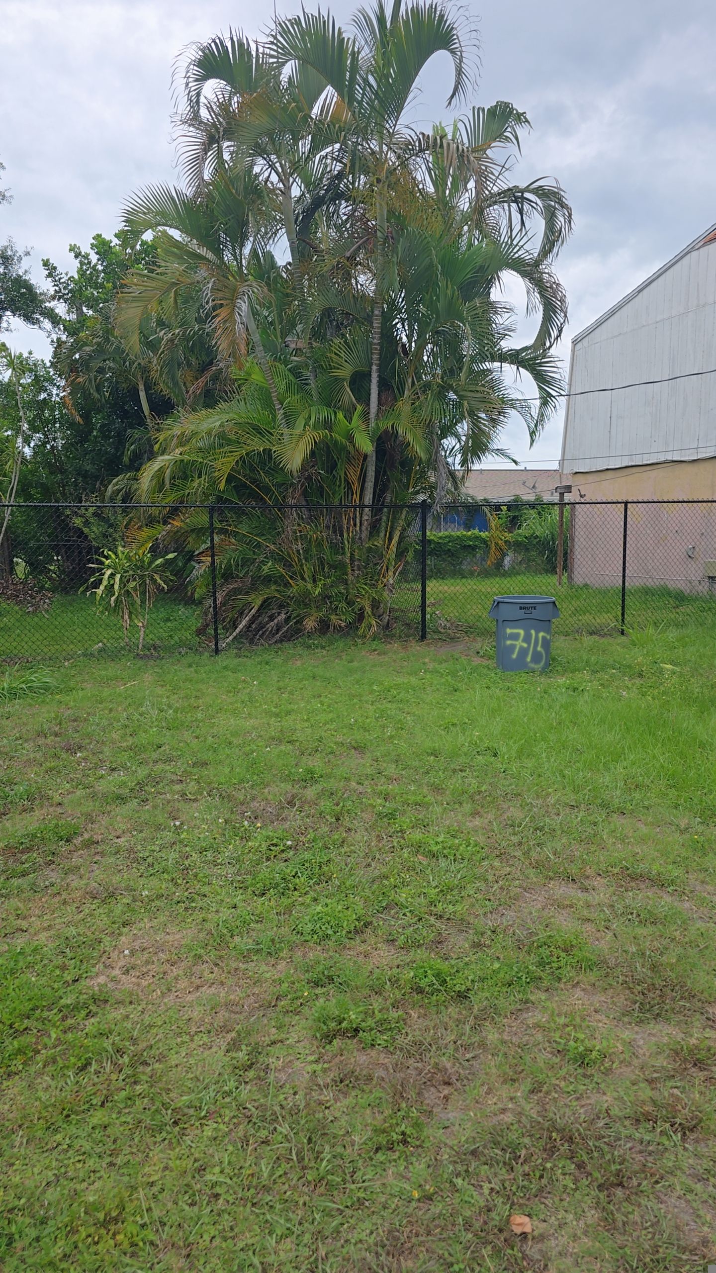 Black Vinyl Chain Link Fence Installation in Bradenton by True Fence LLC