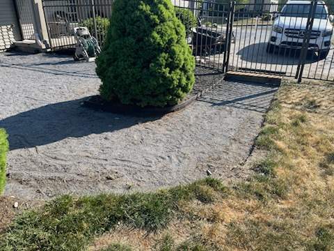 Goss PROJECT by Potted Luck Landscape