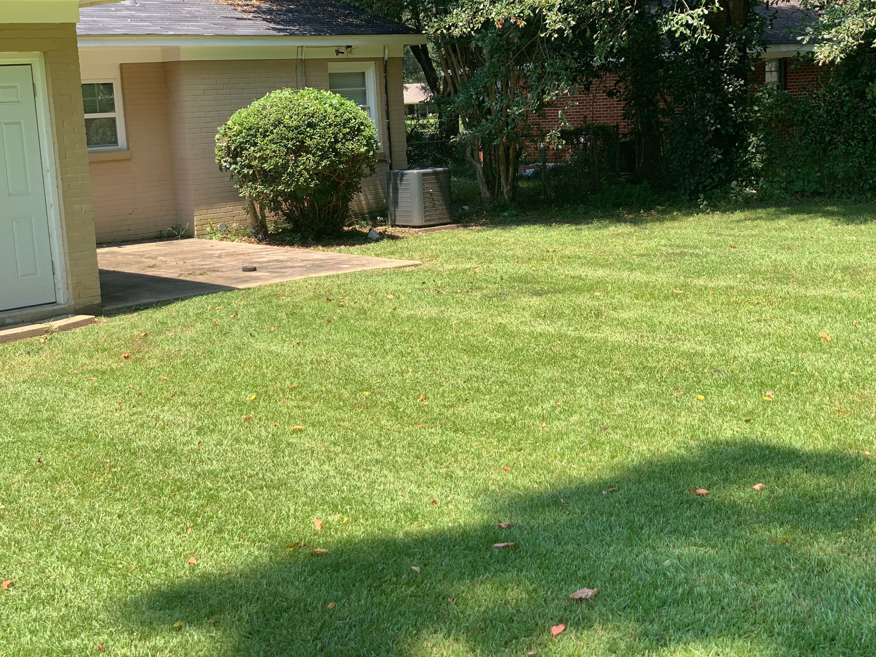 Yard Makeover by College Bros Outdoor services