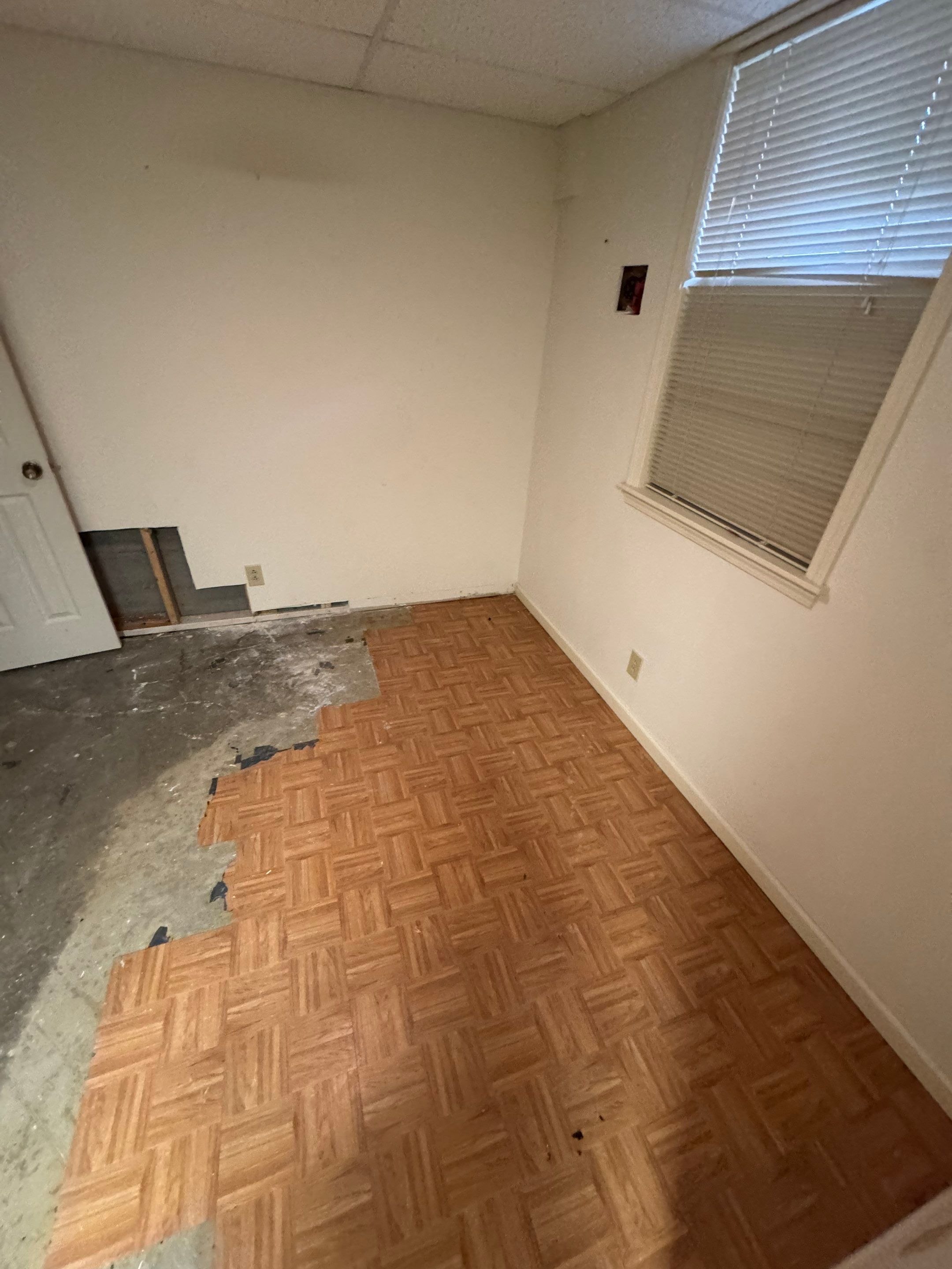 Water Mitigation and Restoration by ANR Restoration