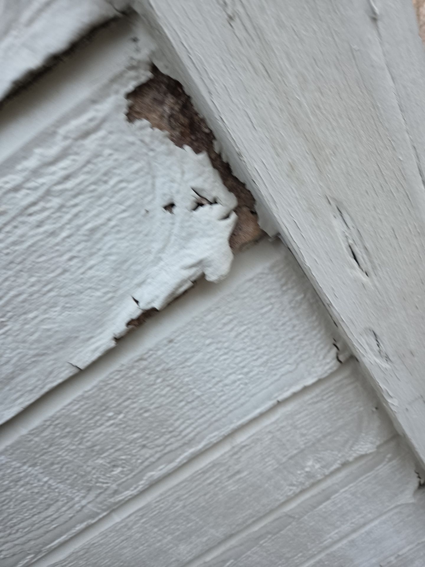 Residential Siding Repair in Birmingham by The Roofing Dudes