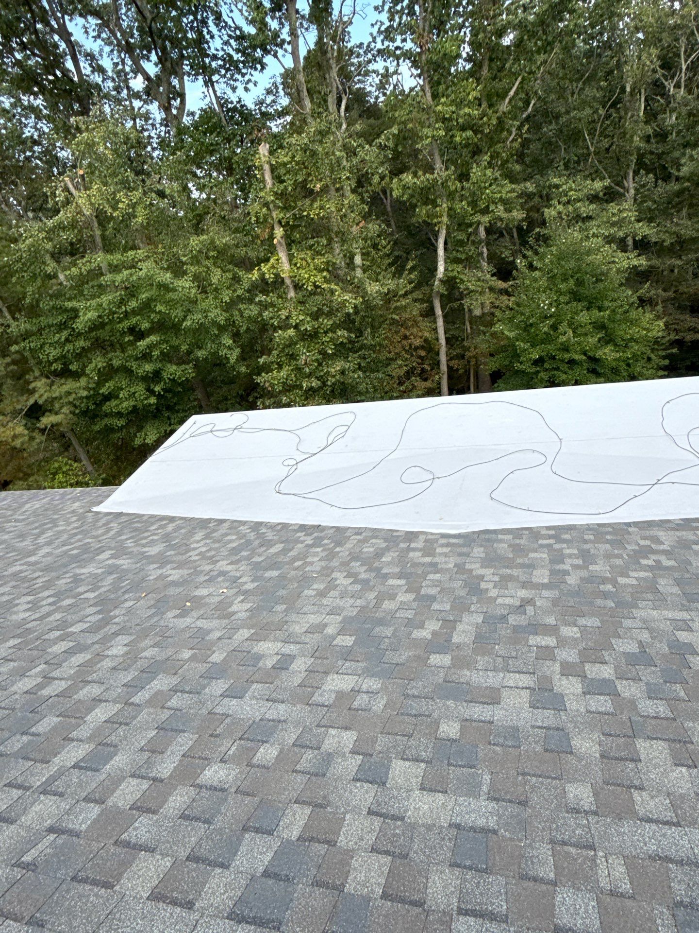 Vienna : Residential Roof Replacement with CertainTeed Landmark Pro in Max Def Georgetown Gray  by RM Banning, Inc.