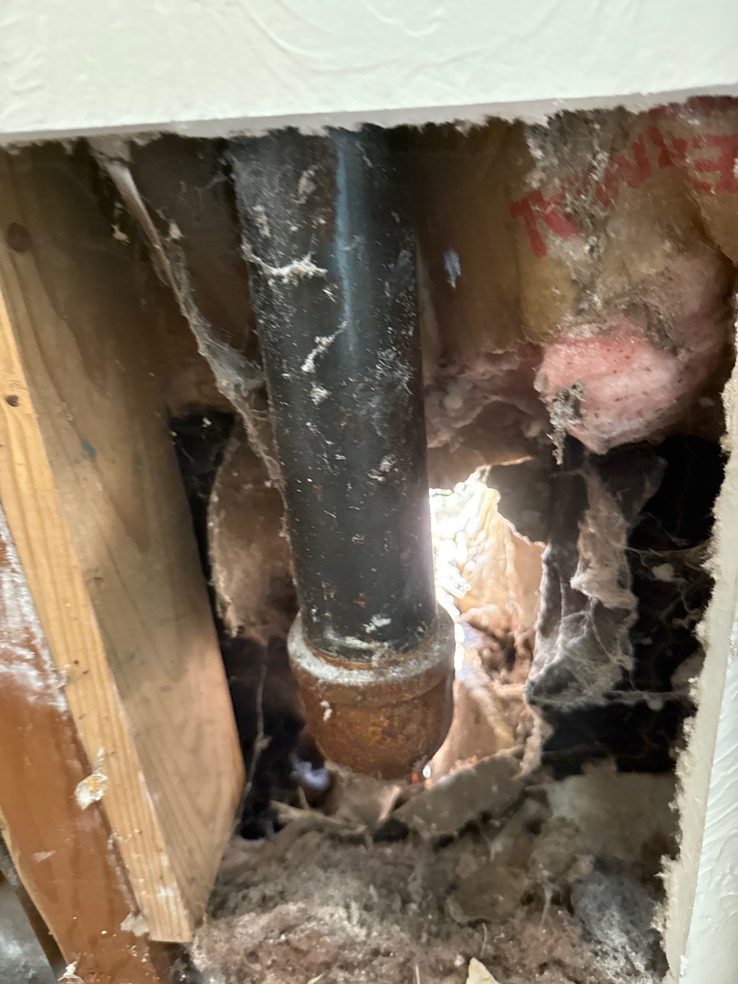 Project in Oklahoma City by PRO-ROOTER