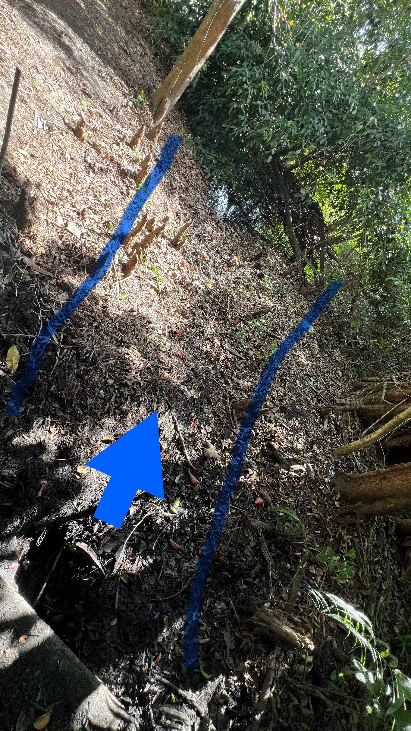 Naples Community Storm Water System Maintenance by APS Power & Water