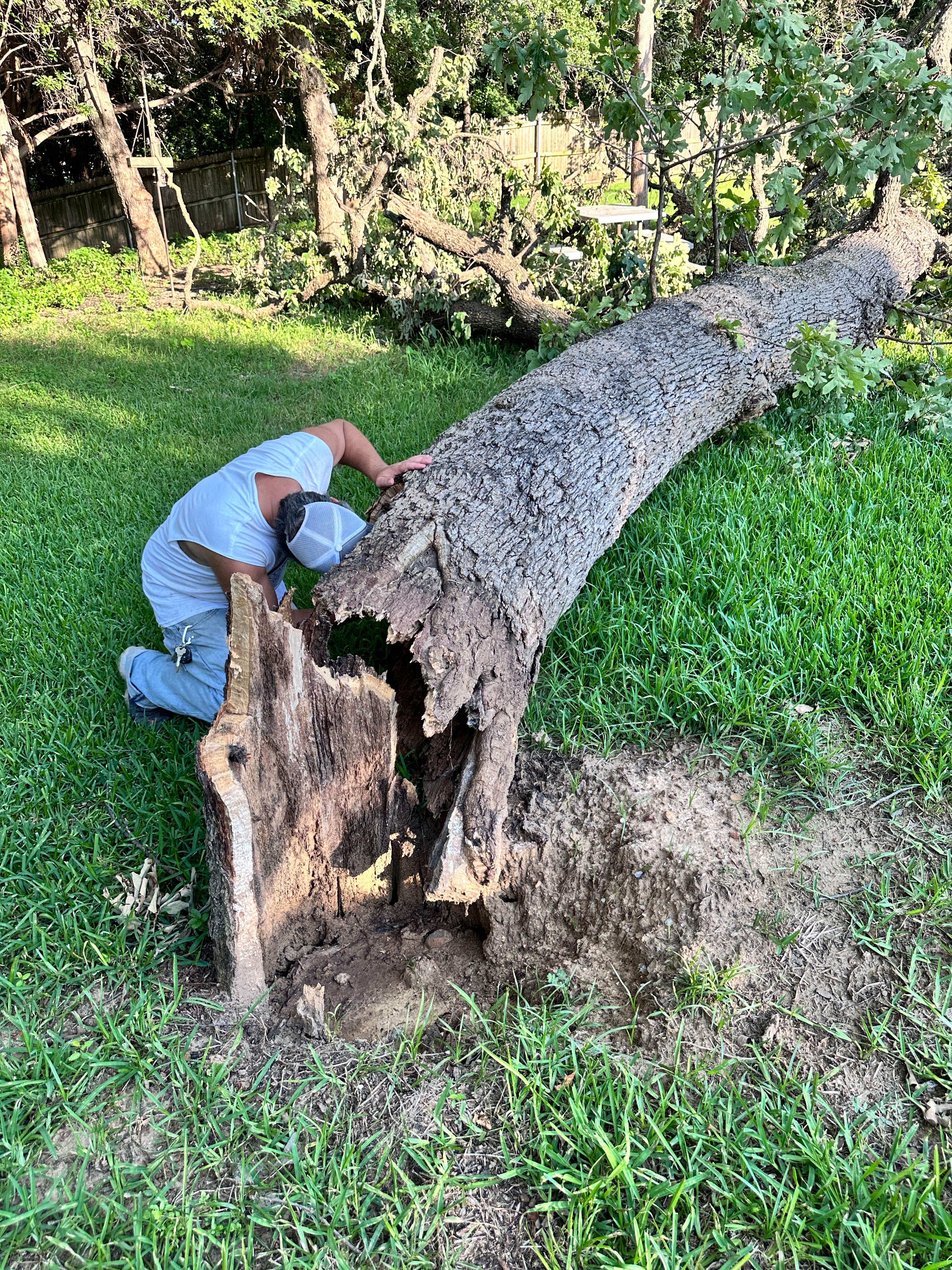 Wina-tree-go by Rockwall Honey Bee Company