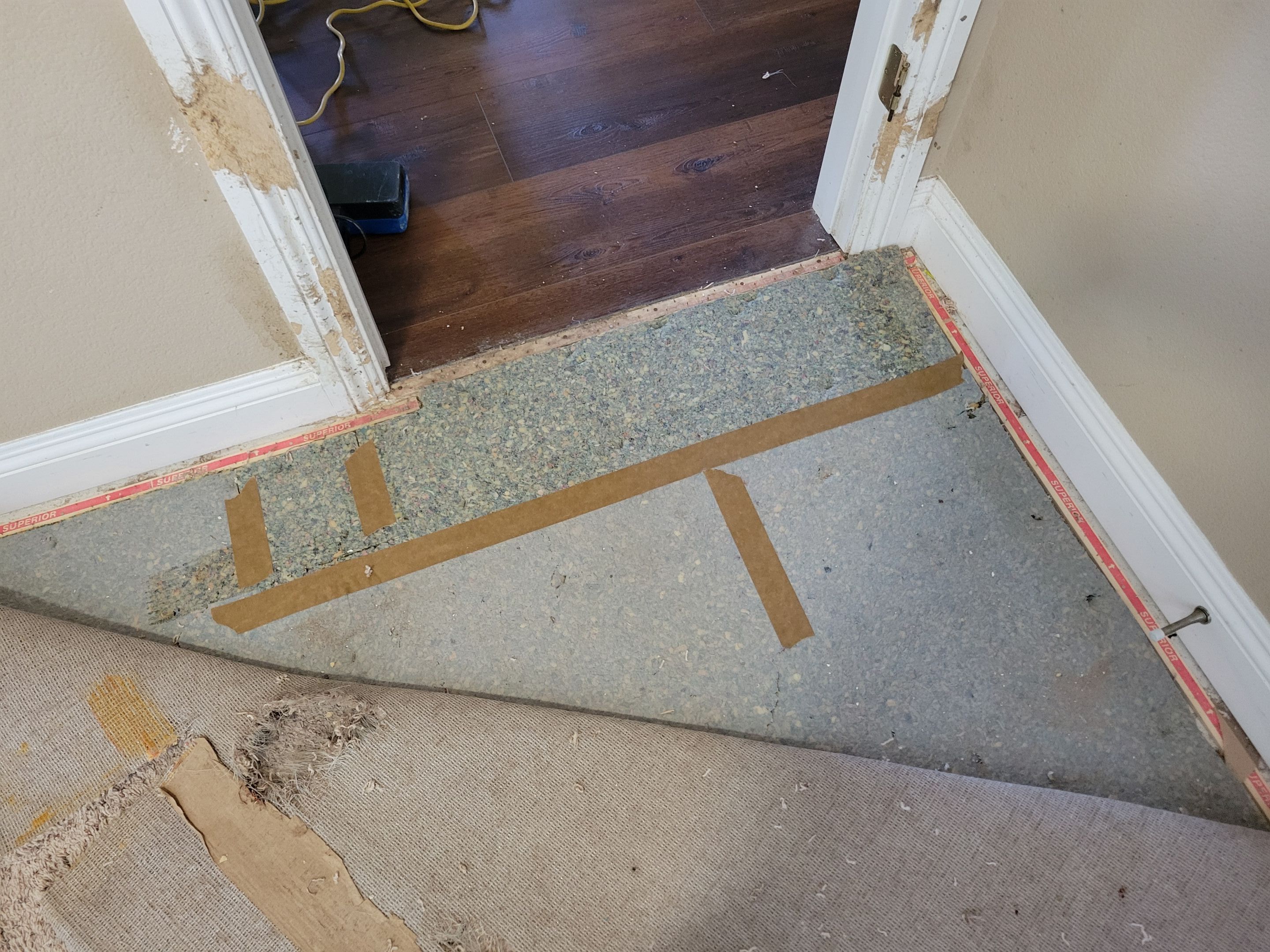 Bonded Inserts for Dog Damage by Ardent Carpet Restore LLC