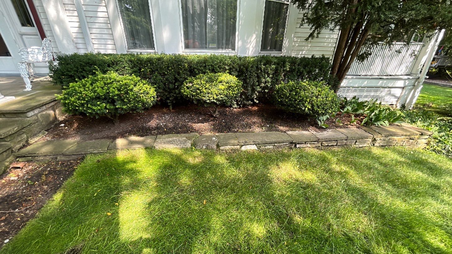 Housewashing  using Algaecide, soft wash soap by Northern Power Washing LLC.