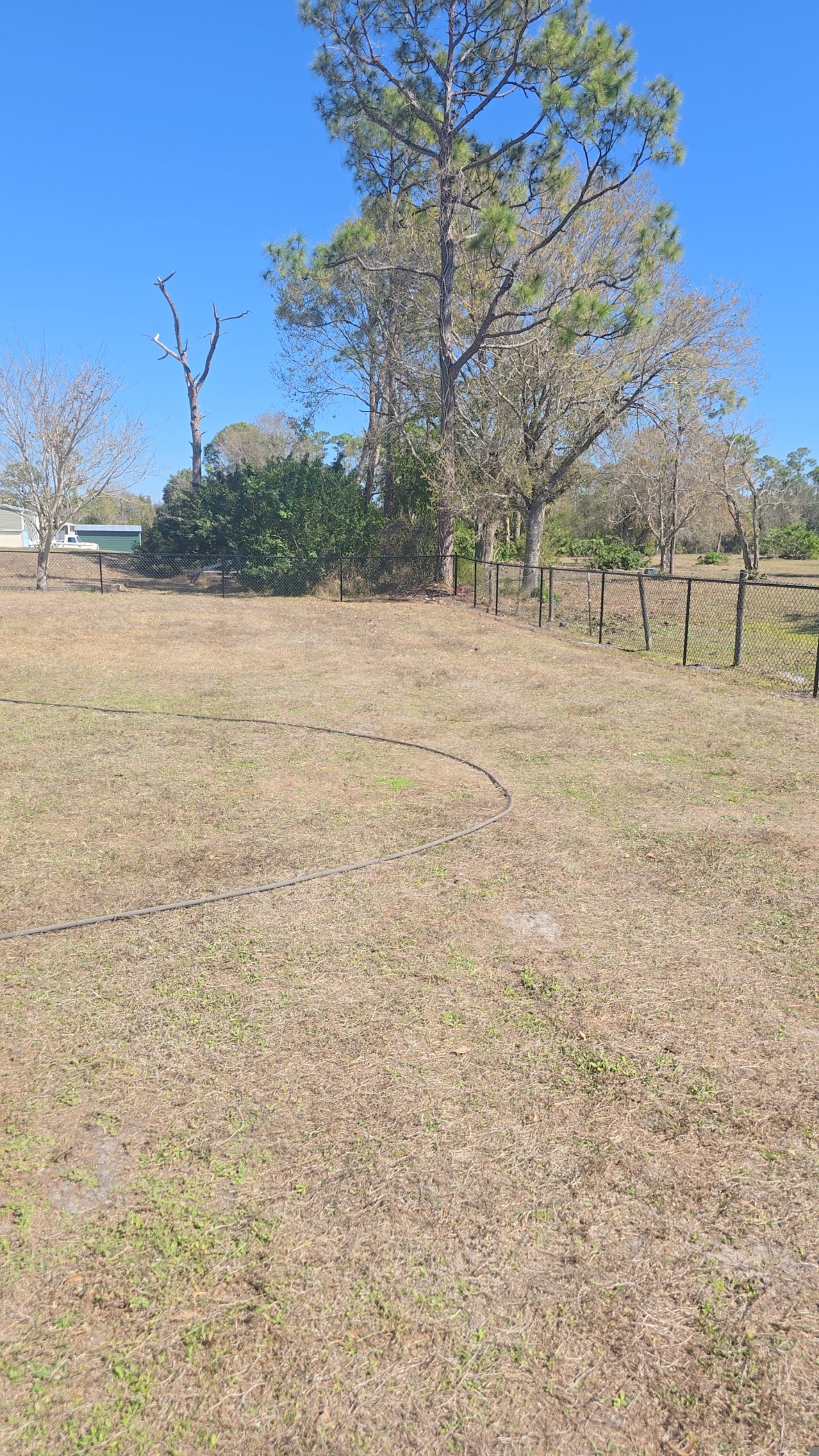 Chain Link Fence in Punta Gorda by True Fence LLC