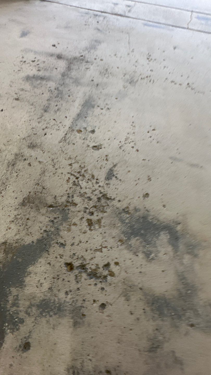 Pool Deck + Steps + Porch Project in JEANNETTE by Floors in a Day, Inc