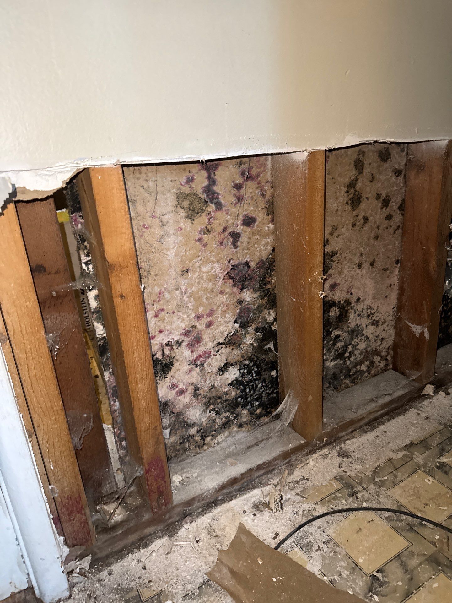 Mold Remediation Project by Chicagoland Water Medics