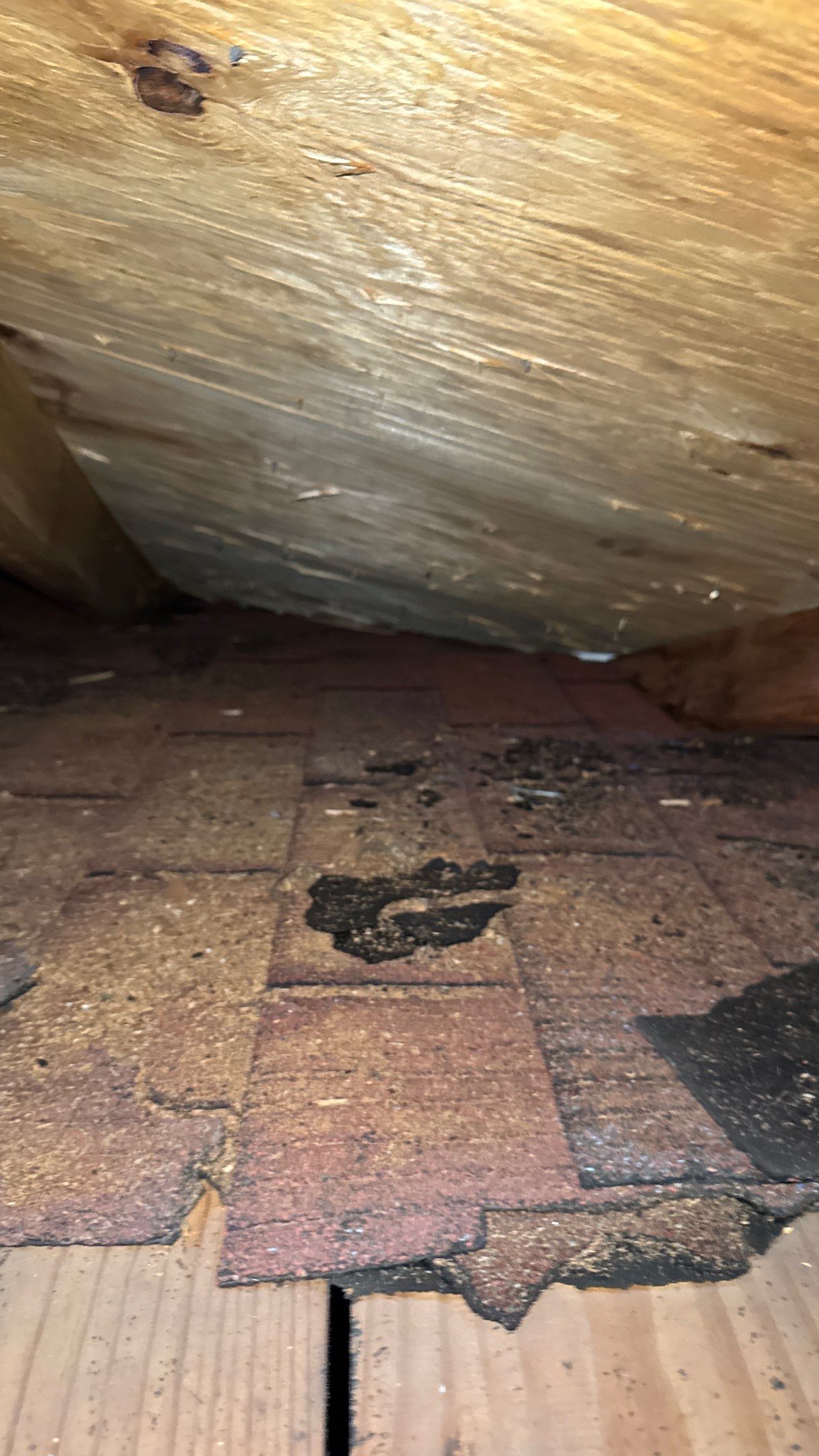 Roof Replacement using Owens Corning Summer Harvest by 180 Contractors