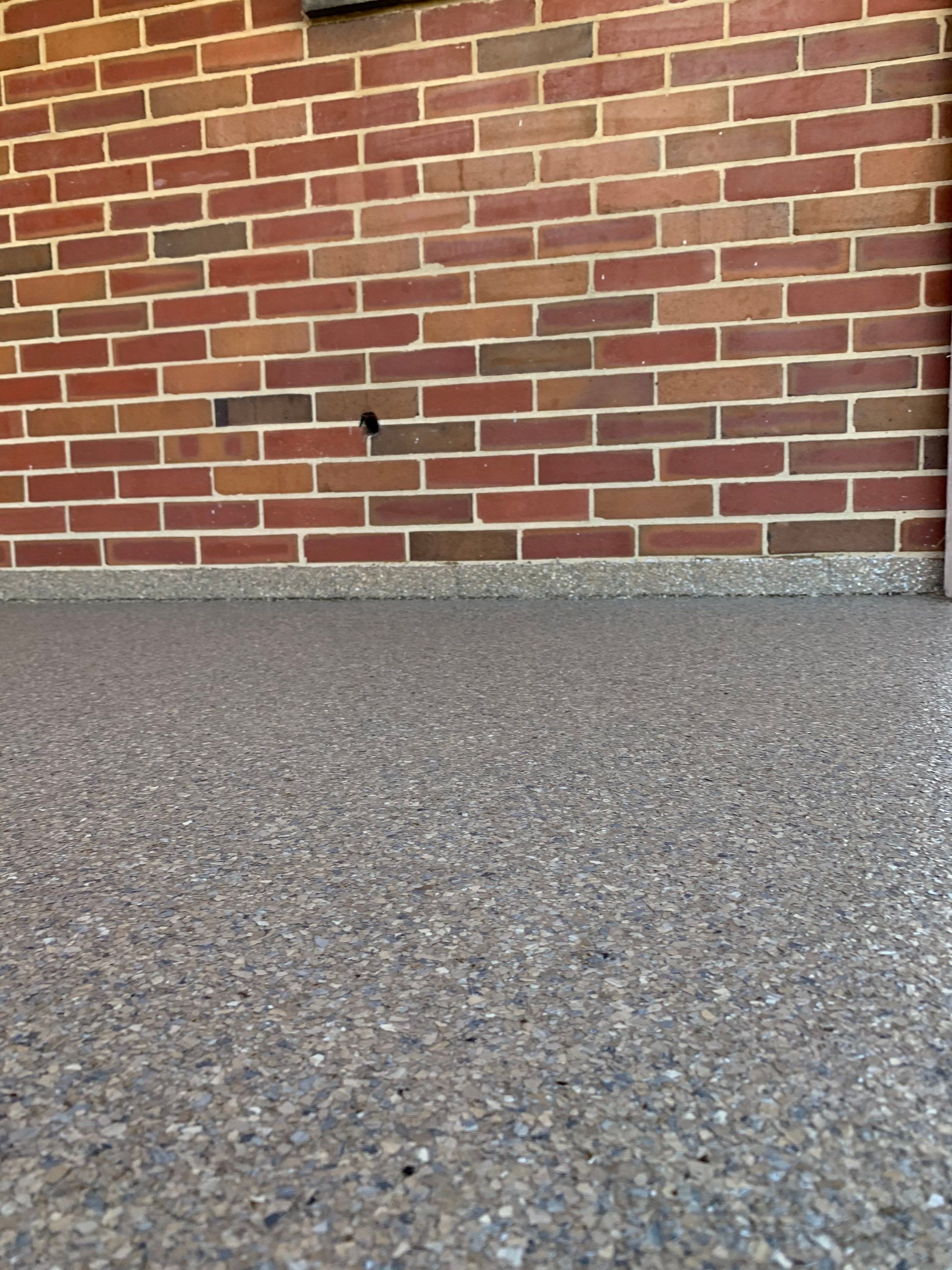 Patio Installation using Flint by Your1DayFloor.com