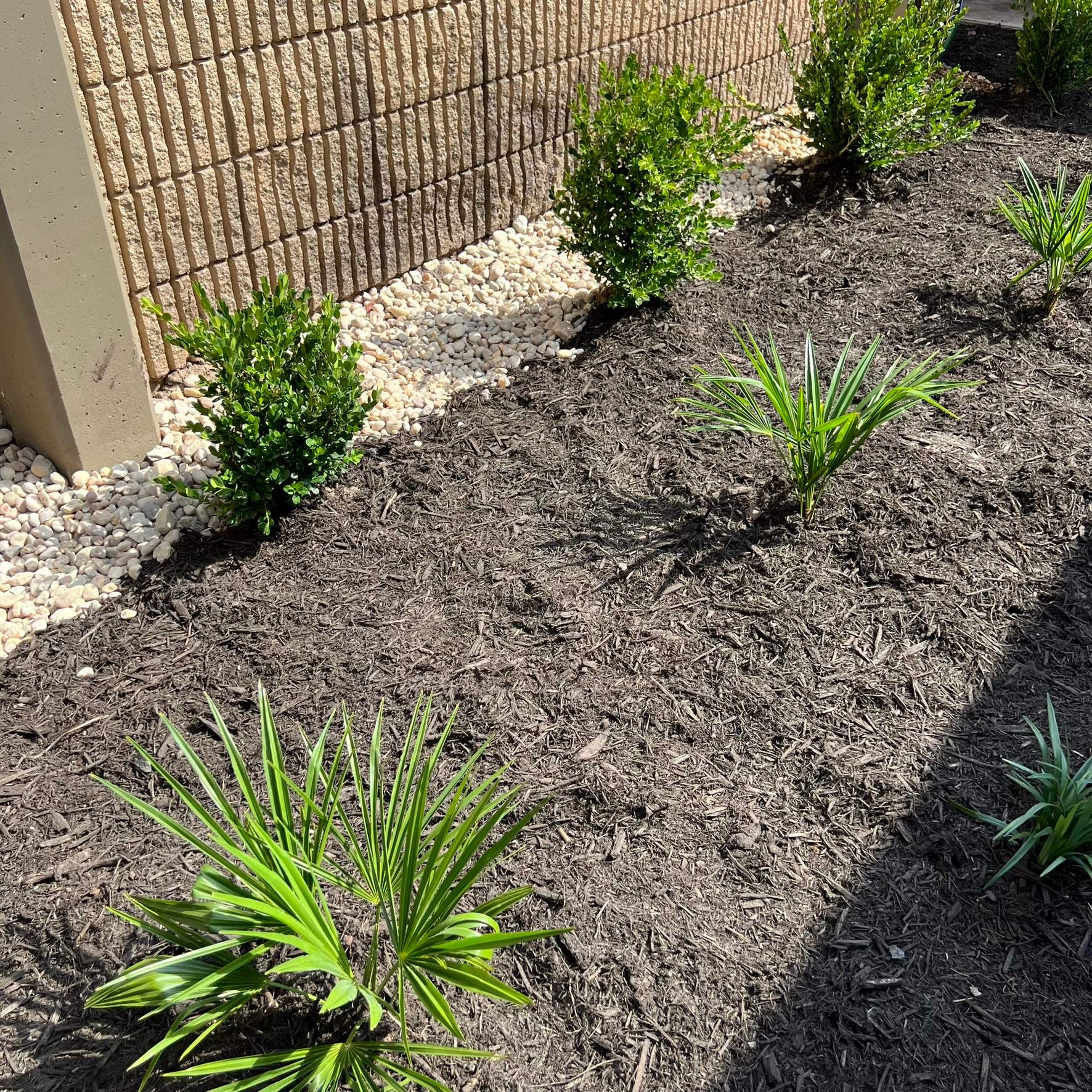 Landscape Install | Wilkinson JHS by ProGreen Services
