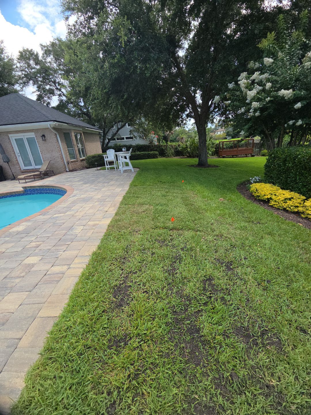 Deerwood Resident | Sod Installation by ProGreen Services