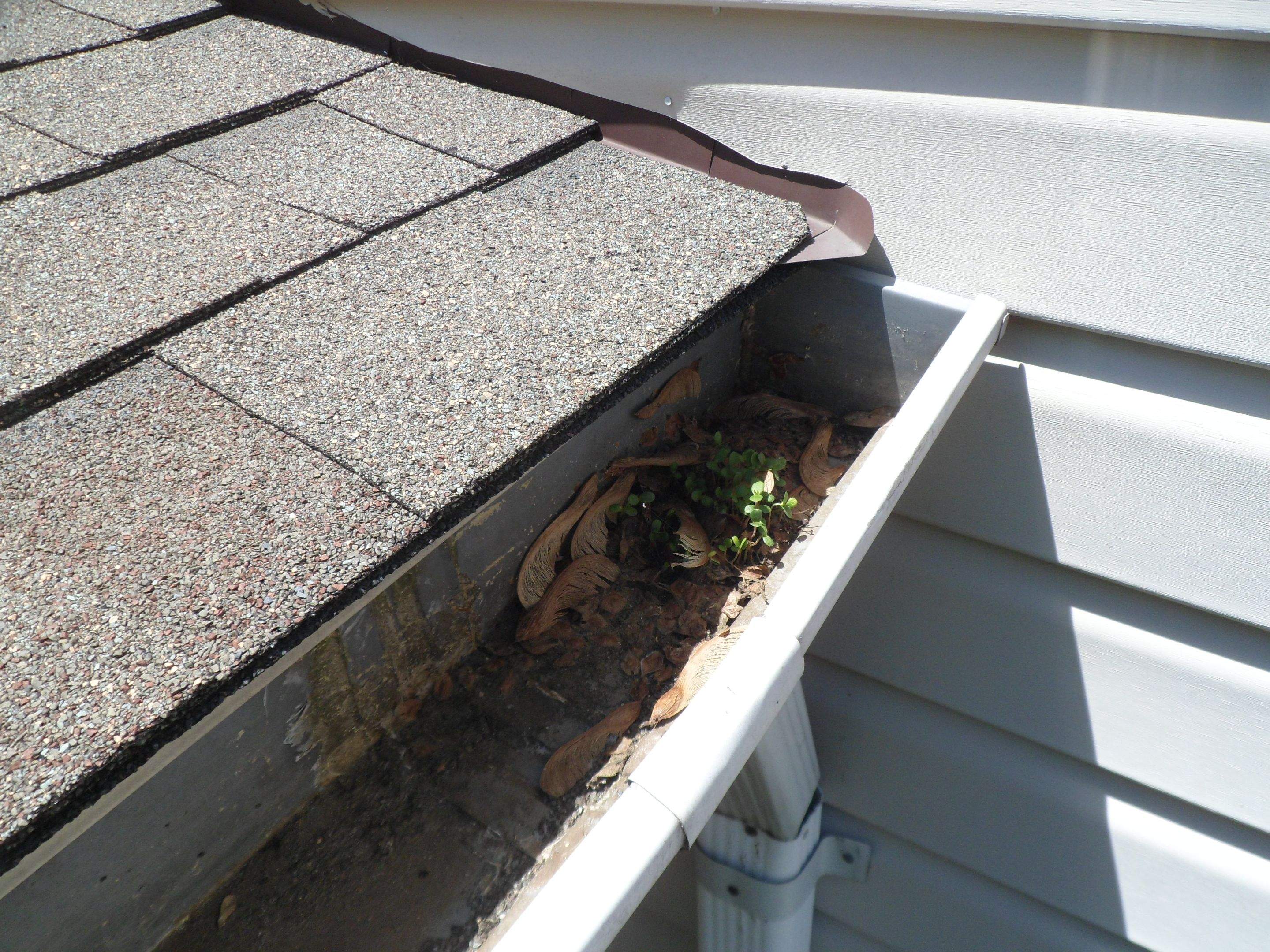 New Gutter guard  by Alpha Design Services