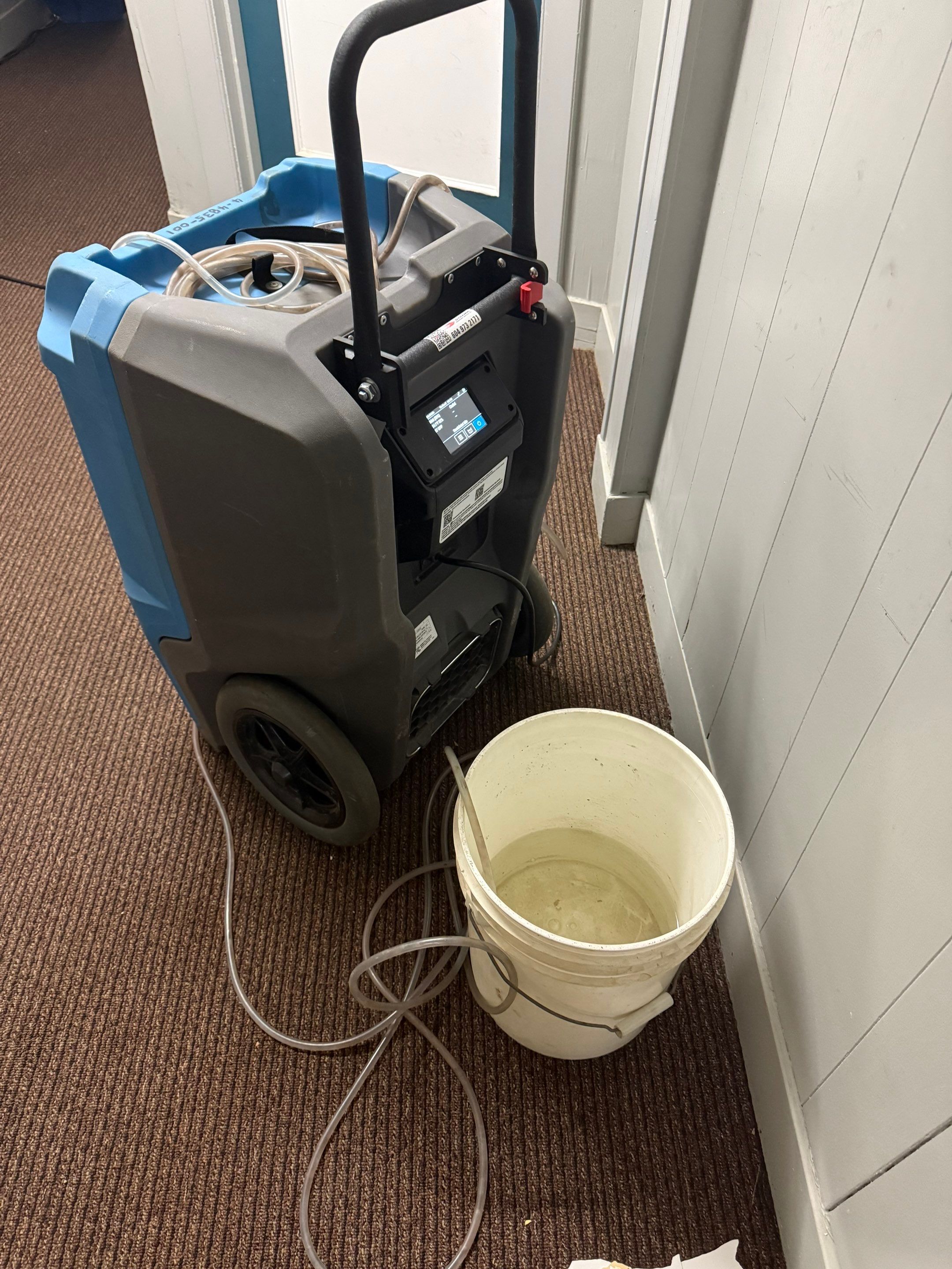 Flood Restoration by YVR Construction Group