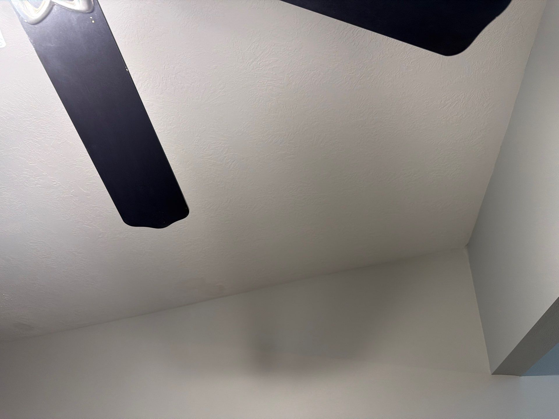 Interior Home Repainting with Repose Gray and Peppercorn Accent Walls by Select Painting, Coatings & Garage Cabinets