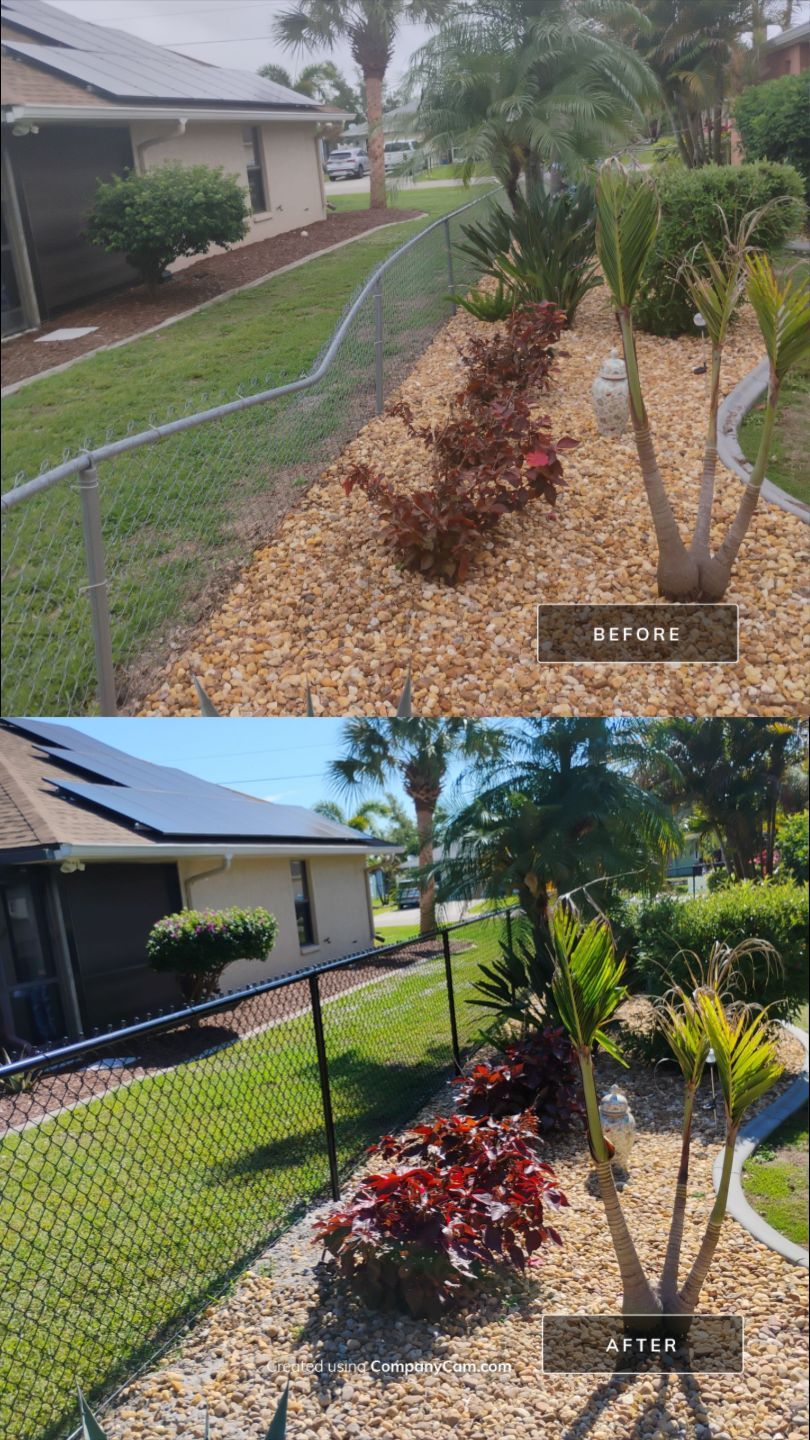 Chain Link Fence in Punta Gorda by True Fence LLC