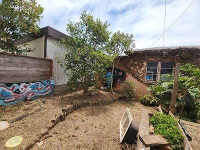 San Diego Landscape Clean Up