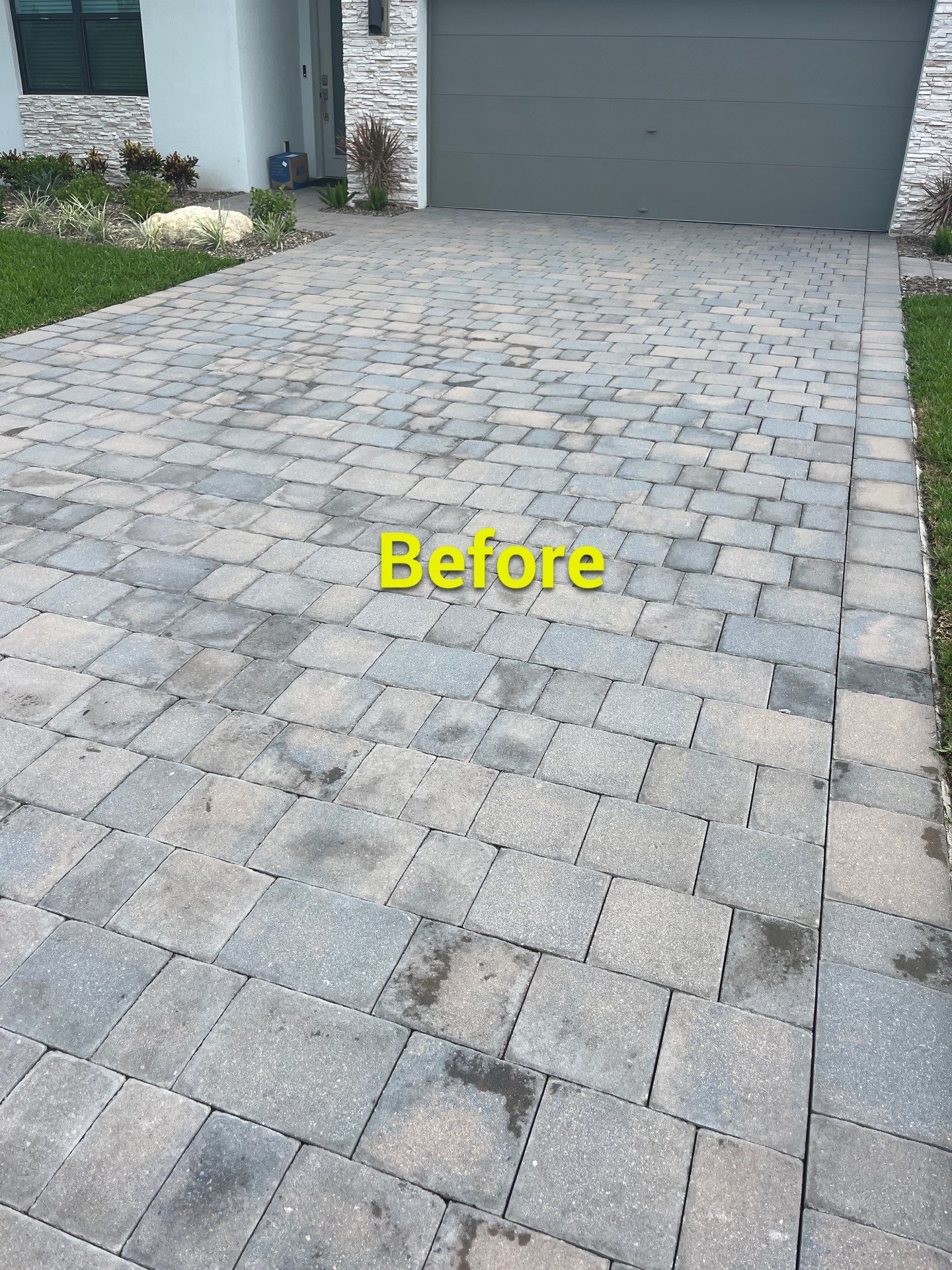 “Built Below the Surface: A Stuart Landscape Done Right” by Alpha Zeta Enterprises Inc