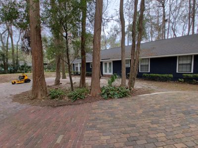 Large-Scale Leaf Removal & Property Cleanup — Jacksonville, FL (Southside Area)