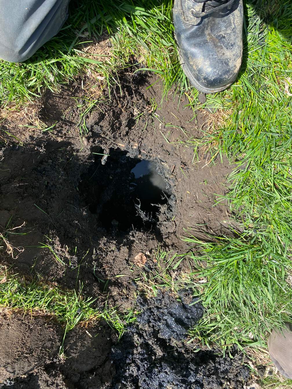 Camera Inspection from Tank Outlet to Drain Field by Allied Water Services