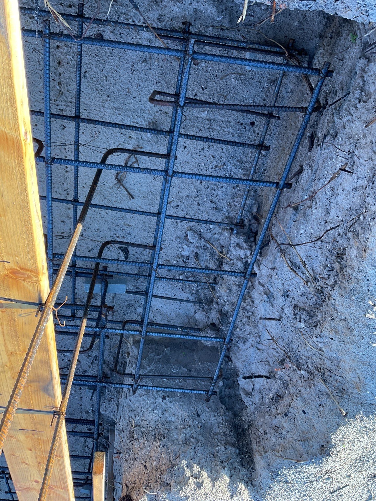 TRACTOR SUPPLY NAPLES by Southern Gulf Construction