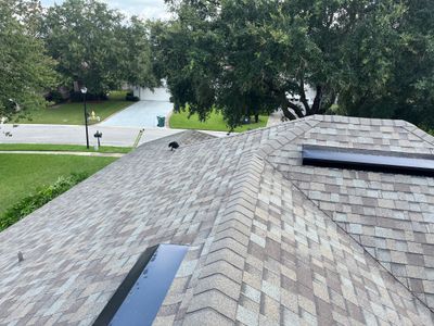 Shingle -> Shingle