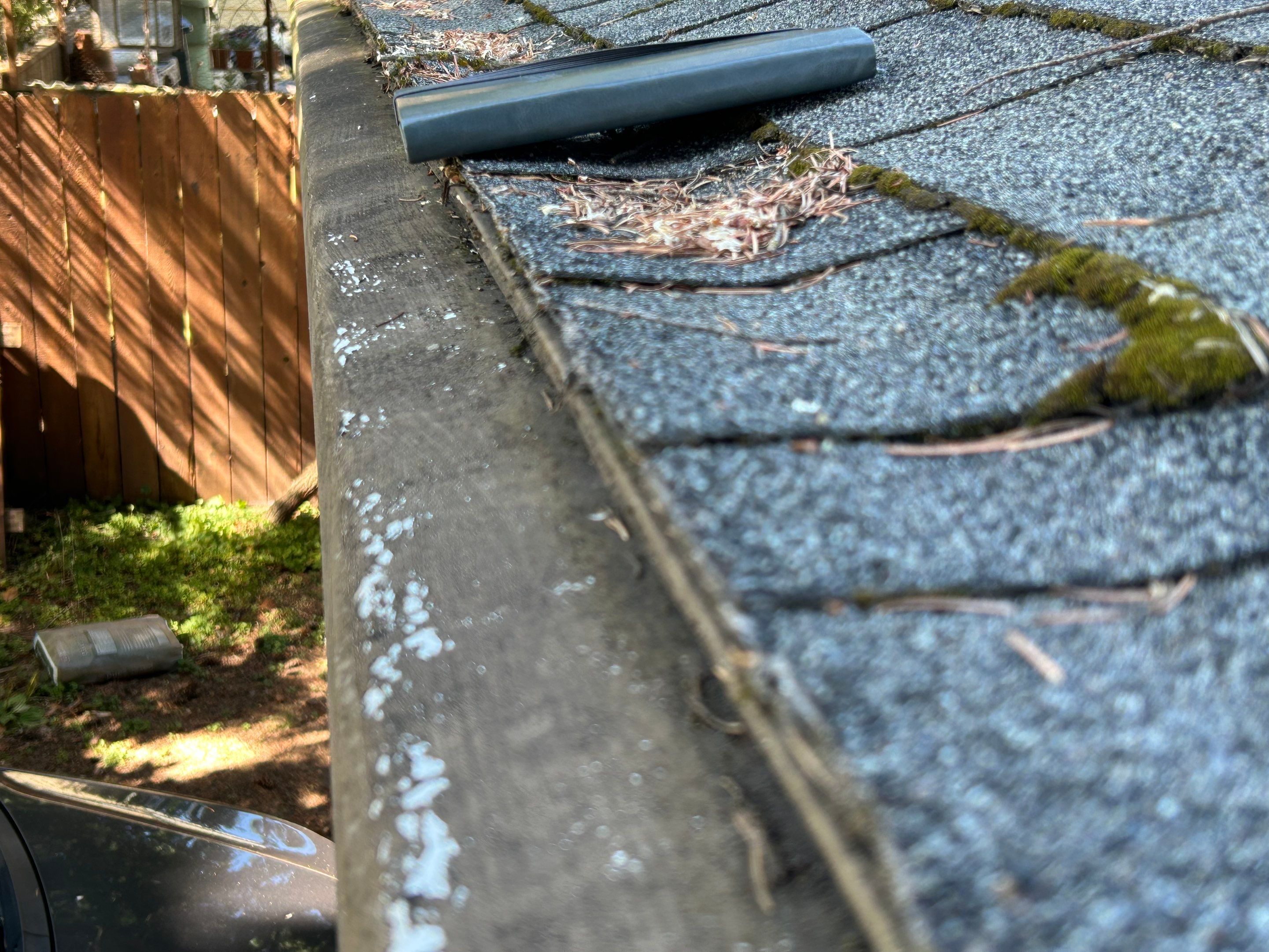 Roof Replacement in Portland by Prodigy Roof Solutions