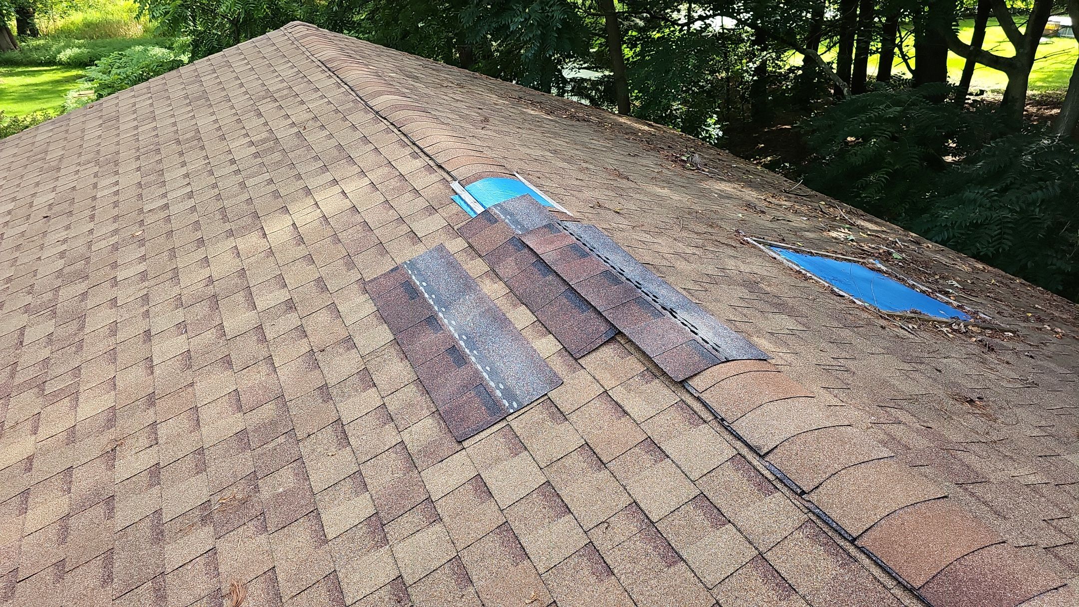 ATLAS PINNACLE COLOR: MORNING HARVEST by Eagle Eye Roofing