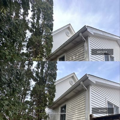 Project in Woodstock