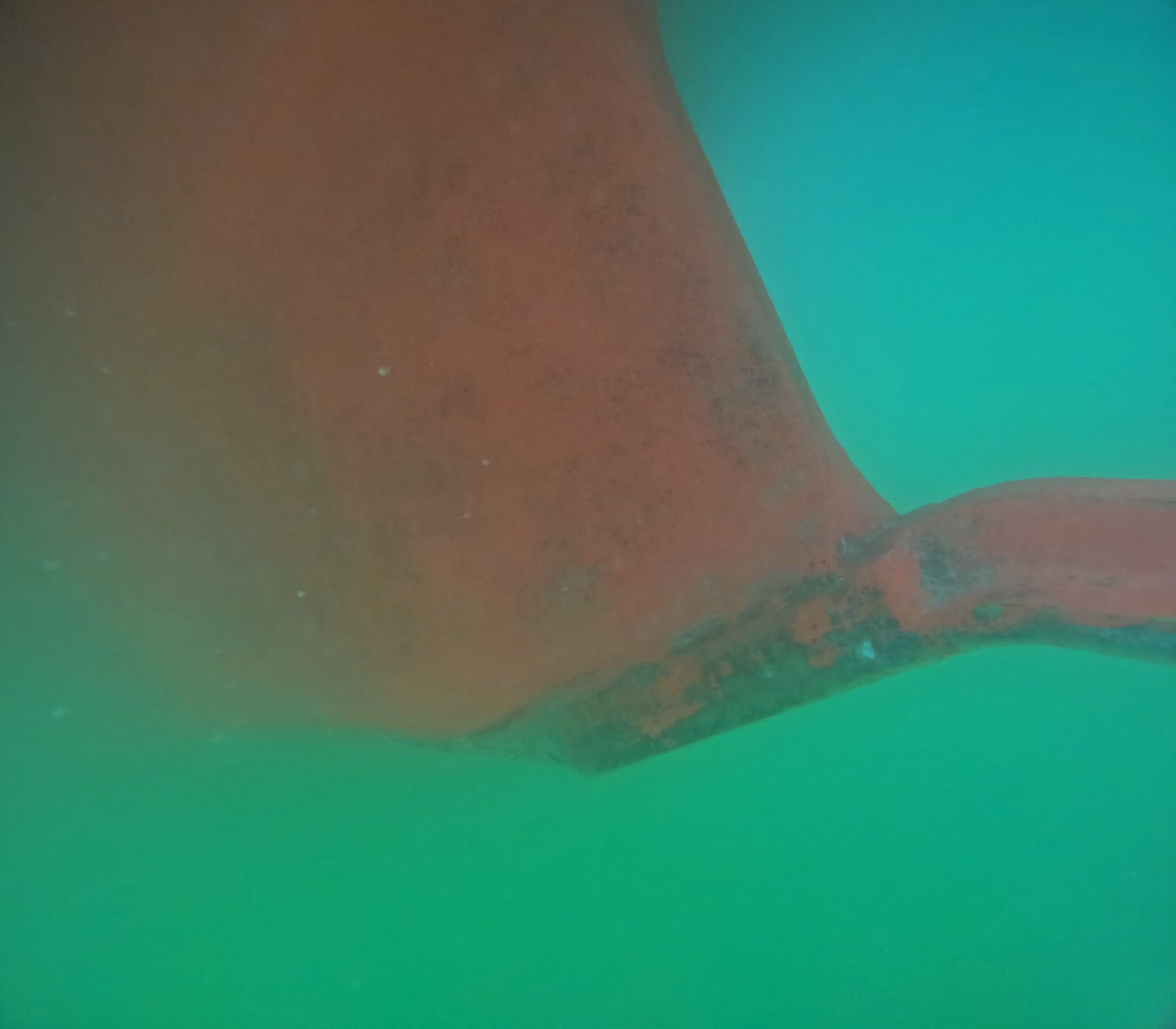 Project in North Fort Myers, FL by Florida Hull Cleaning 